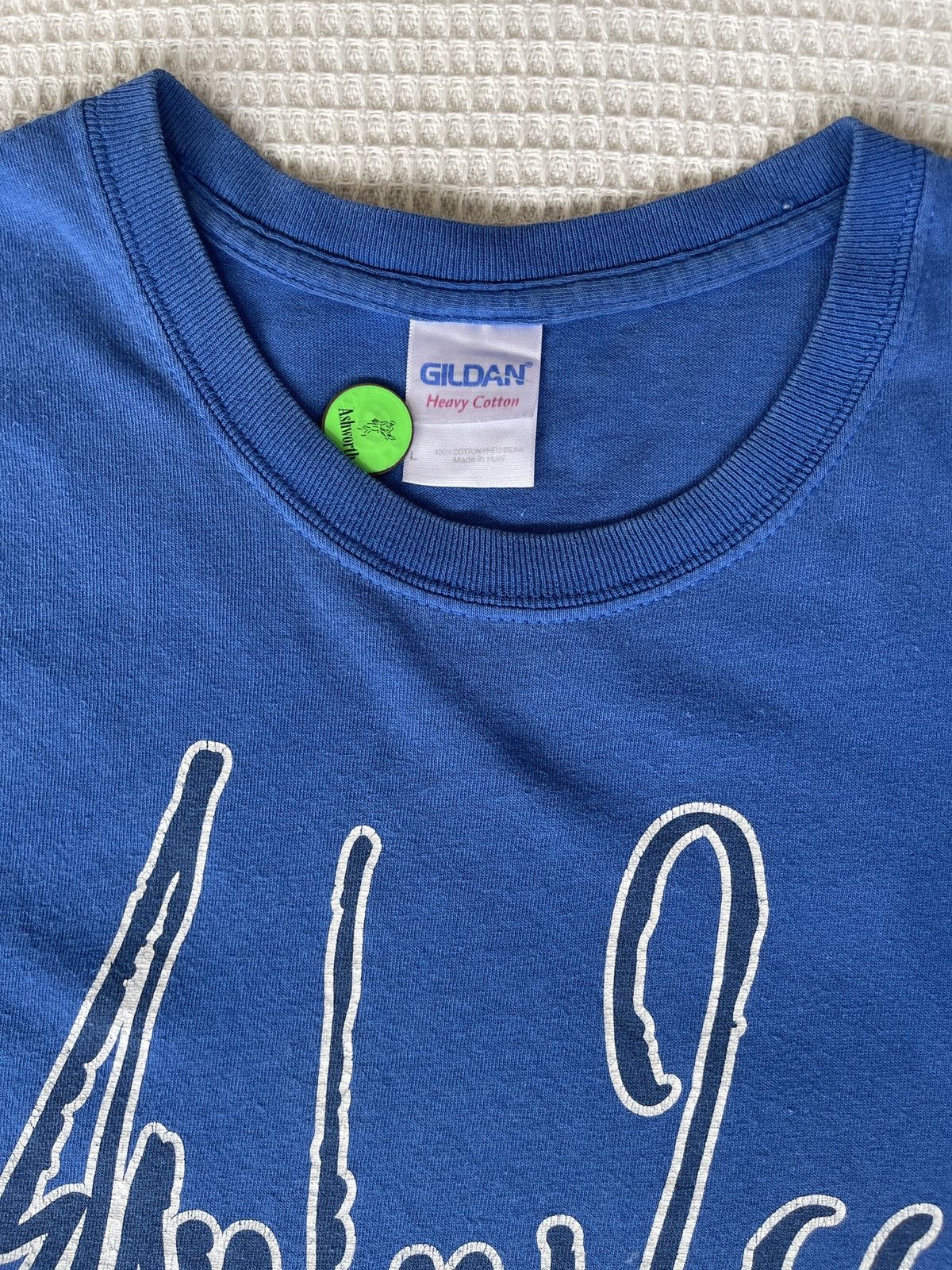 Band Tees Vintage y2k🔥Raw In Sect🔥A Glowing Shade Album Promo Tee Size US L / EU 52-54 / 3 - 8 Thumbnail