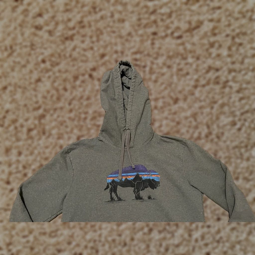Patagonia Patagonia Fitz Roy Bison Uprisal Hoody Hoodie Sweatshirt Gray Men's Small Size US S / EU 44-46 / 1 - 1 Thumbnail