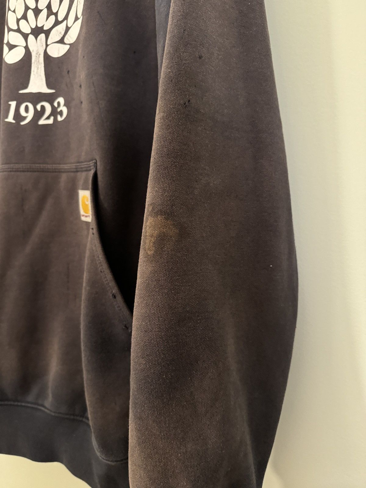 Carhartt Carhartt Sun Faded Thrashed Distressed Hoodie ERD Grunge Size US M / EU 48-50 / 2 - 7 Thumbnail