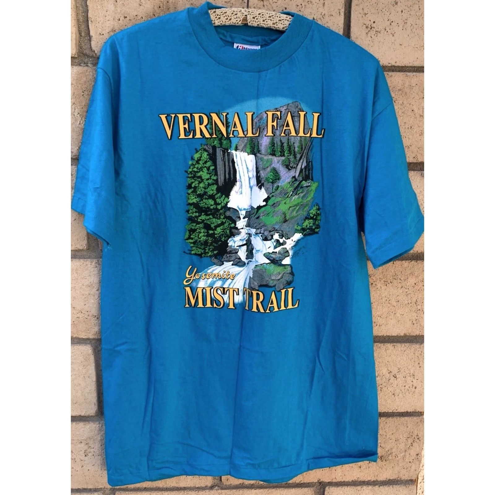 Hanes VINTAGE Hanes Beefy-T T Shirt XL blue 80s 90s California Nature Graphic Print Men XS? Size US XL / EU 56 / 4 - 3 Thumbnail