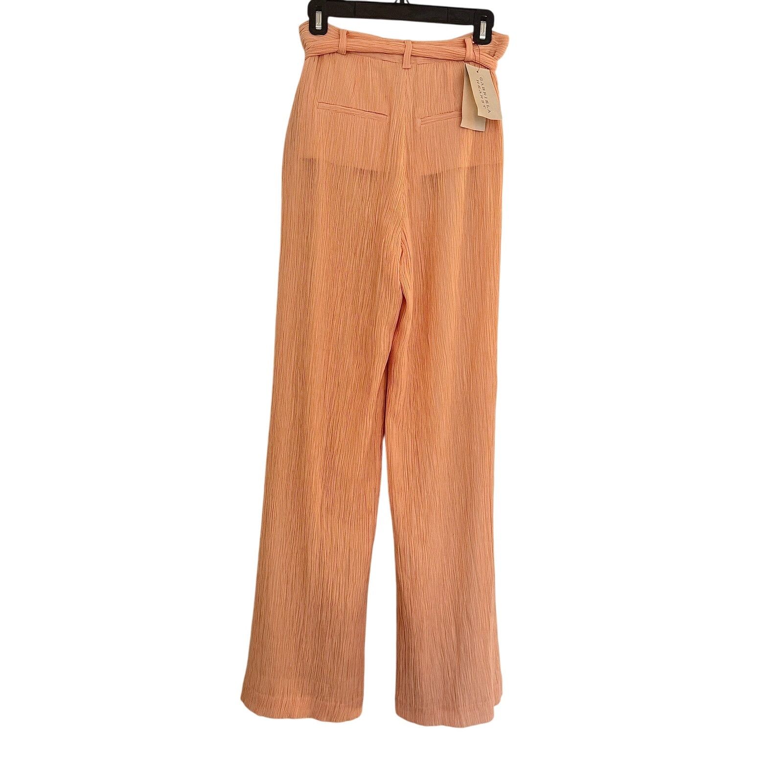 Gabriela Hearst Gabriela Hearst NWT Pink Silk Cotton Crepon Thomzaaia Pants Size M / US 6-8 / IT 42-44 - 2 Thumbnail