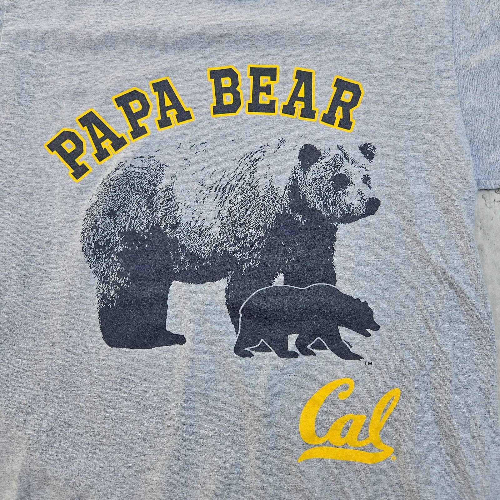 Champion Vintage Cal State T-Shirt Size Medium Gray Y2K Size US M / EU 48-50 / 2 - 2 Thumbnail