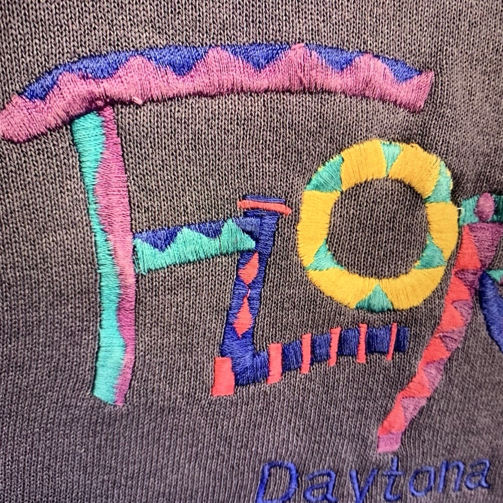 Fruit Of The Loom VINTAGE Fruit of the Loom Sweatshirt Adult Large Daytona Beach Embroidered Logo 90s Retro Beach USA Cotton Fleece Size US L / EU 52-54 / 3 - 4 Thumbnail