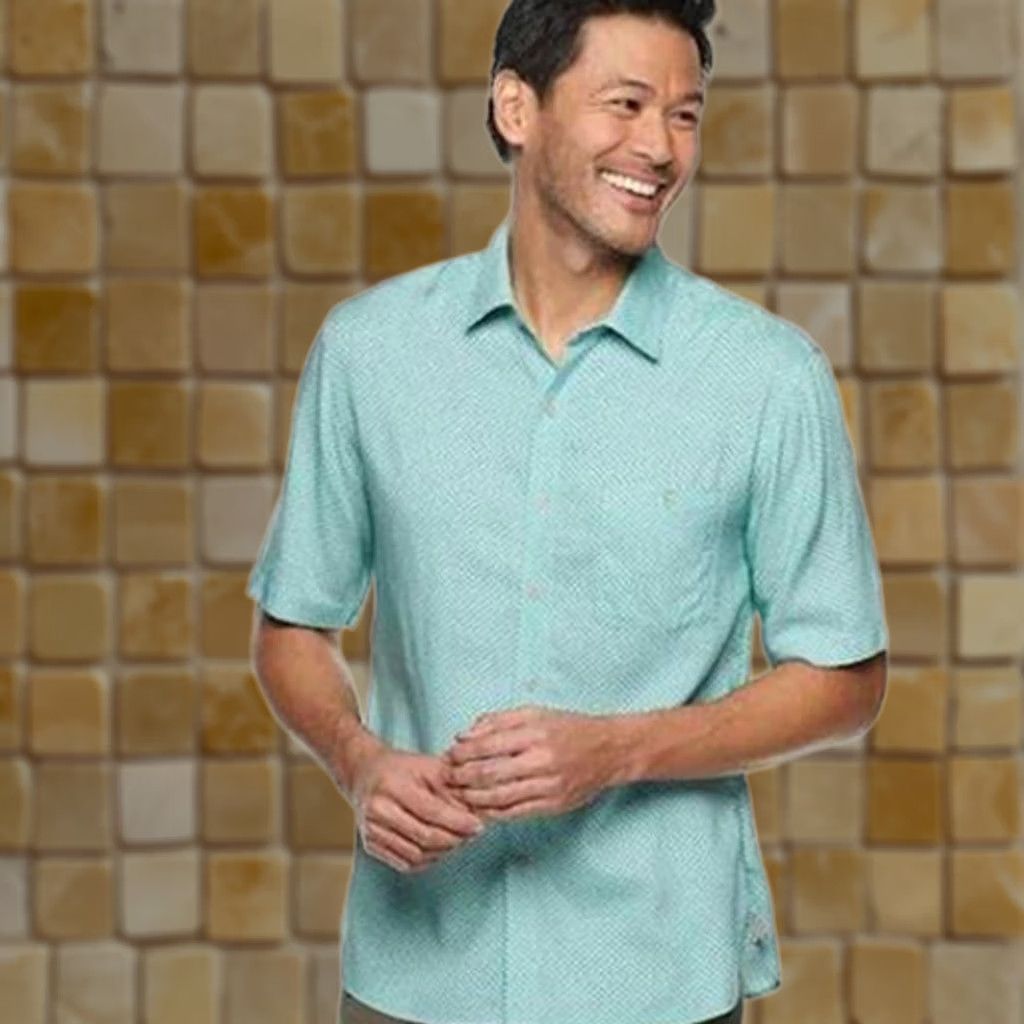 AQUA Batik Bay MODERN FIT BUTTON DOWN SHIRT CASUAL AQUA Short Sleeve Size L Mens Size US L / EU 52-54 / 3 - 1 Preview