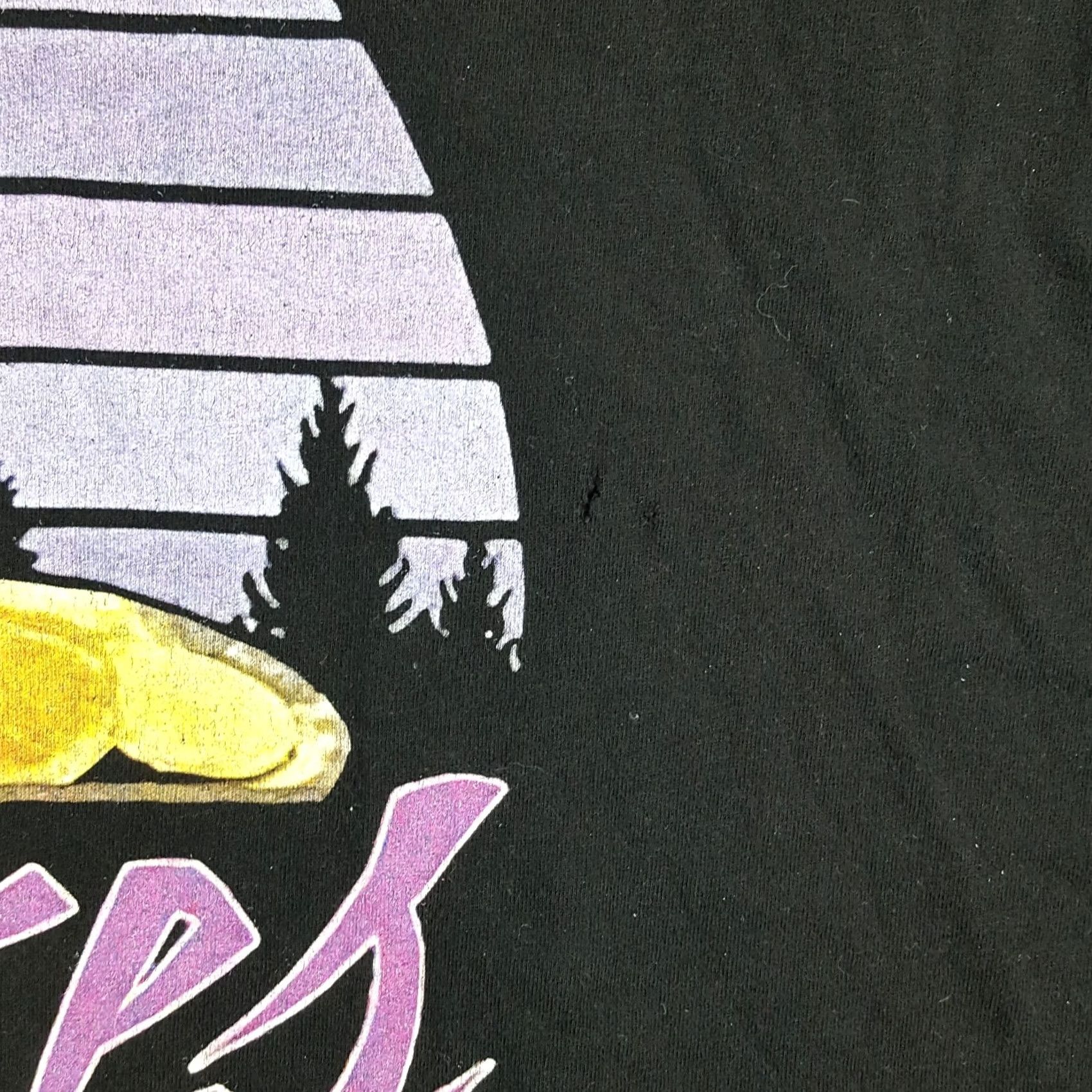 Gildan Dave Chappelle Prince Pancakes T Shirt L Mens Black Cotton Gildan Vintage 00s 90s Retro Promo Chappelle's Show Funny TV Logo Embroidered Shirt Size US L / EU 52-54 / 3 - 5 Thumbnail