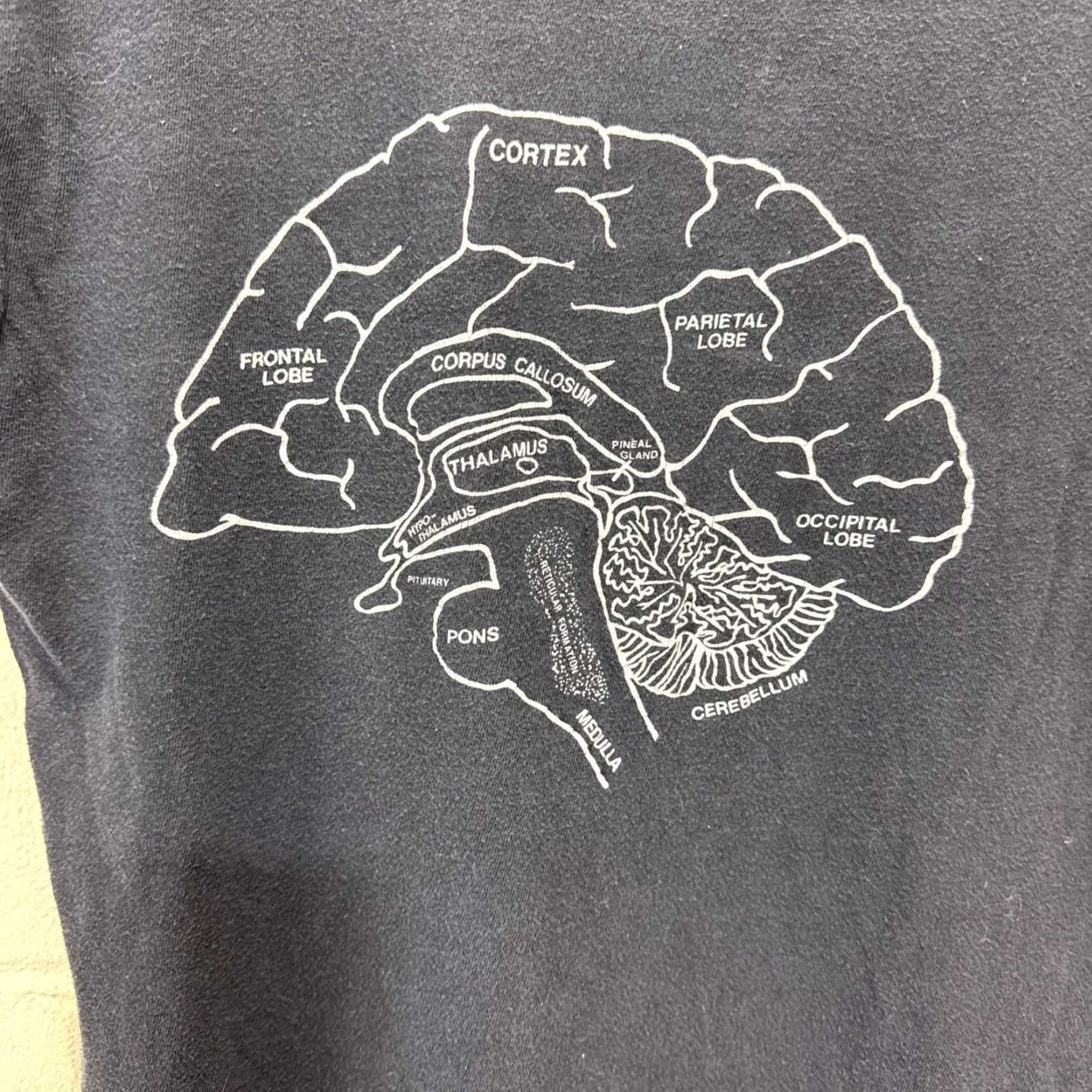 Vintage VINTAGE Anatomical Brain Anatomy Shirt Mens M/L White Medical Graphic 90s USA Size US M / EU 48-50 / 2 - 2 Thumbnail