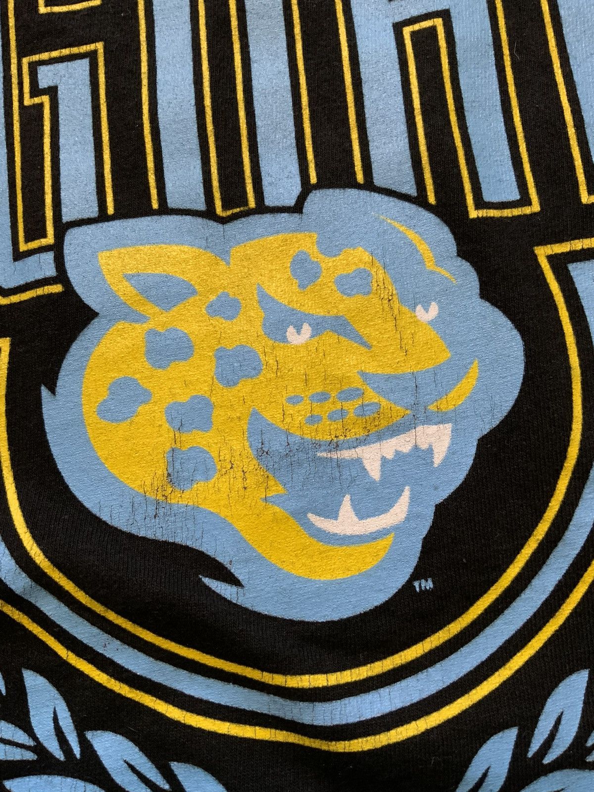 Champion × NCAA Champion Southern Jaguars University HBCU College T-Shirt Size US L / EU 52-54 / 3 - 8 Thumbnail