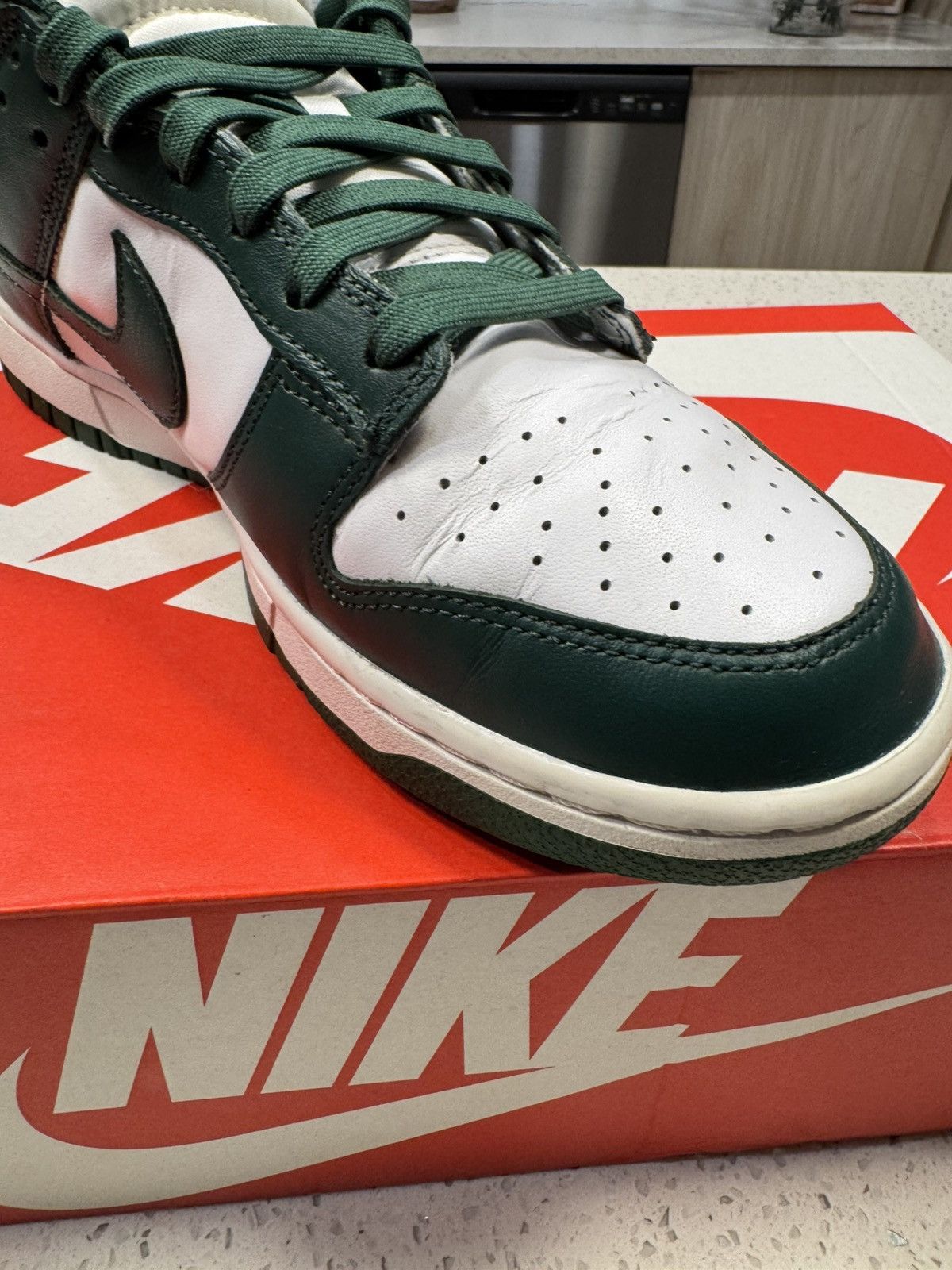 Nike Nike Dunk Low Retro “Michigan” Size US 9.5 / EU 42-43 - 11 Thumbnail