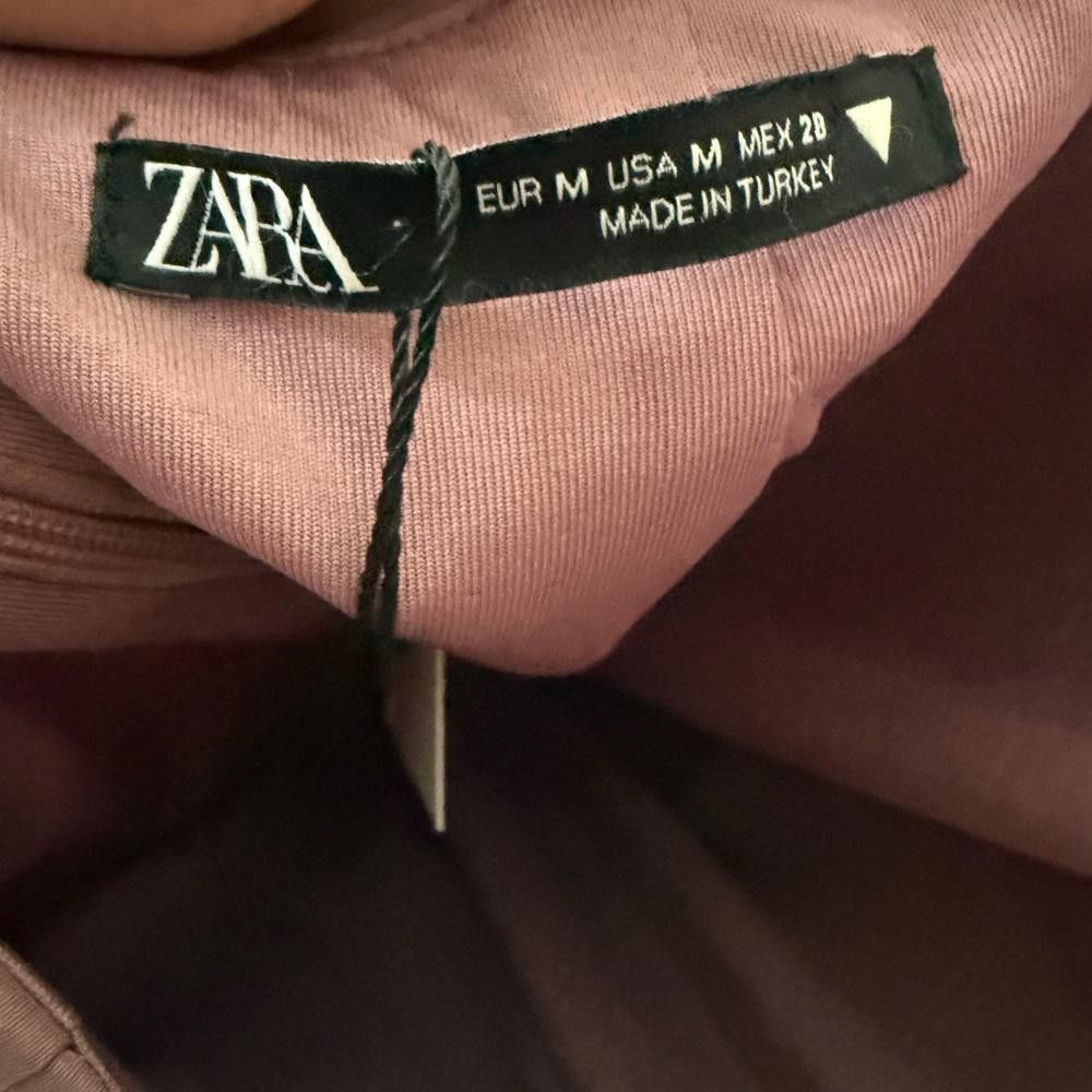 sachin and babi light blue dress Zara pink backless