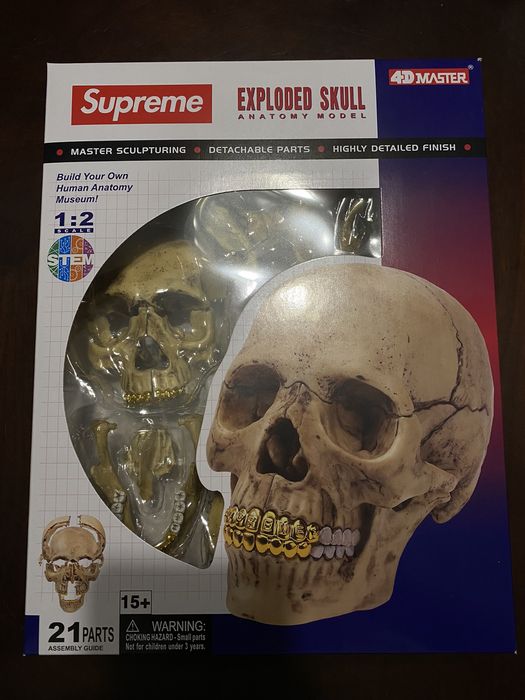 Supreme Supreme 4D Model Human Skull | Grailed