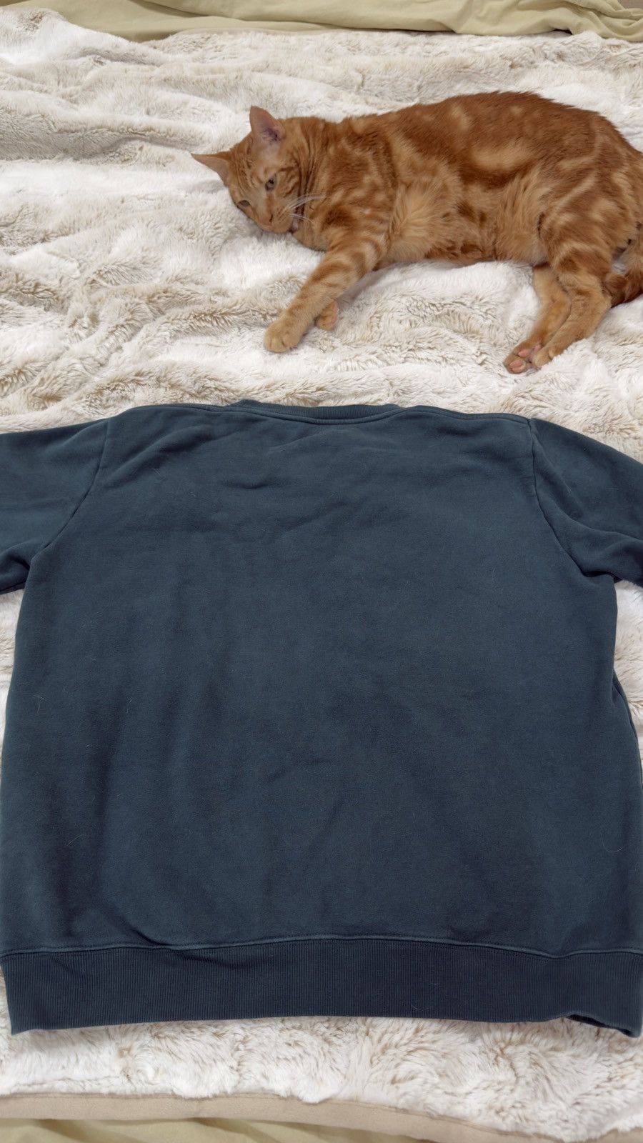 Saint Laurent Paris Saint Laurent Sweatshirt ‘Vert et Naturel’ Size US L / EU 52-54 / 3 - 5 Thumbnail