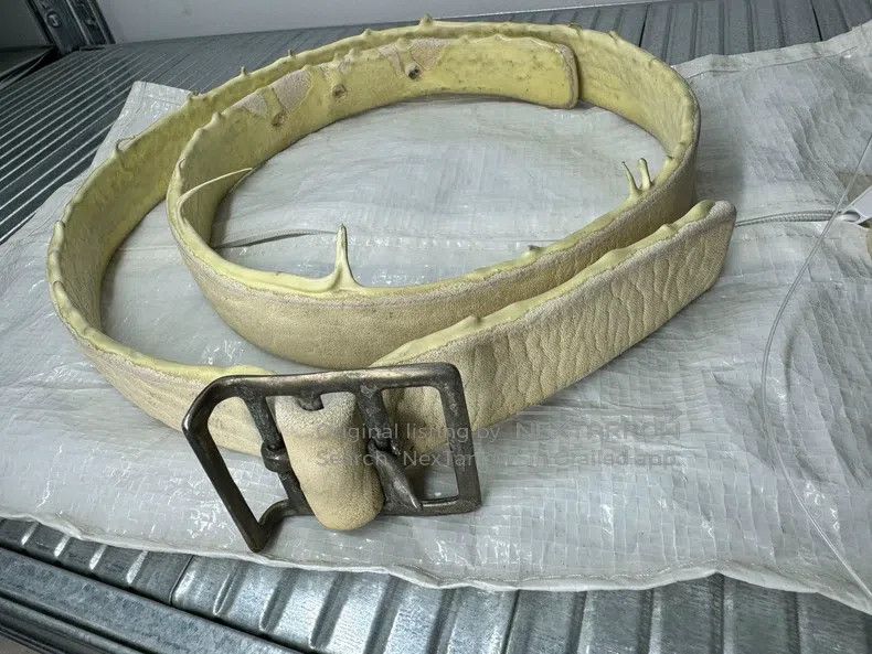 Carol Christian Poell Carol Christian Poell Size 48 Belts Size ONE SIZE - 1 Thumbnail
