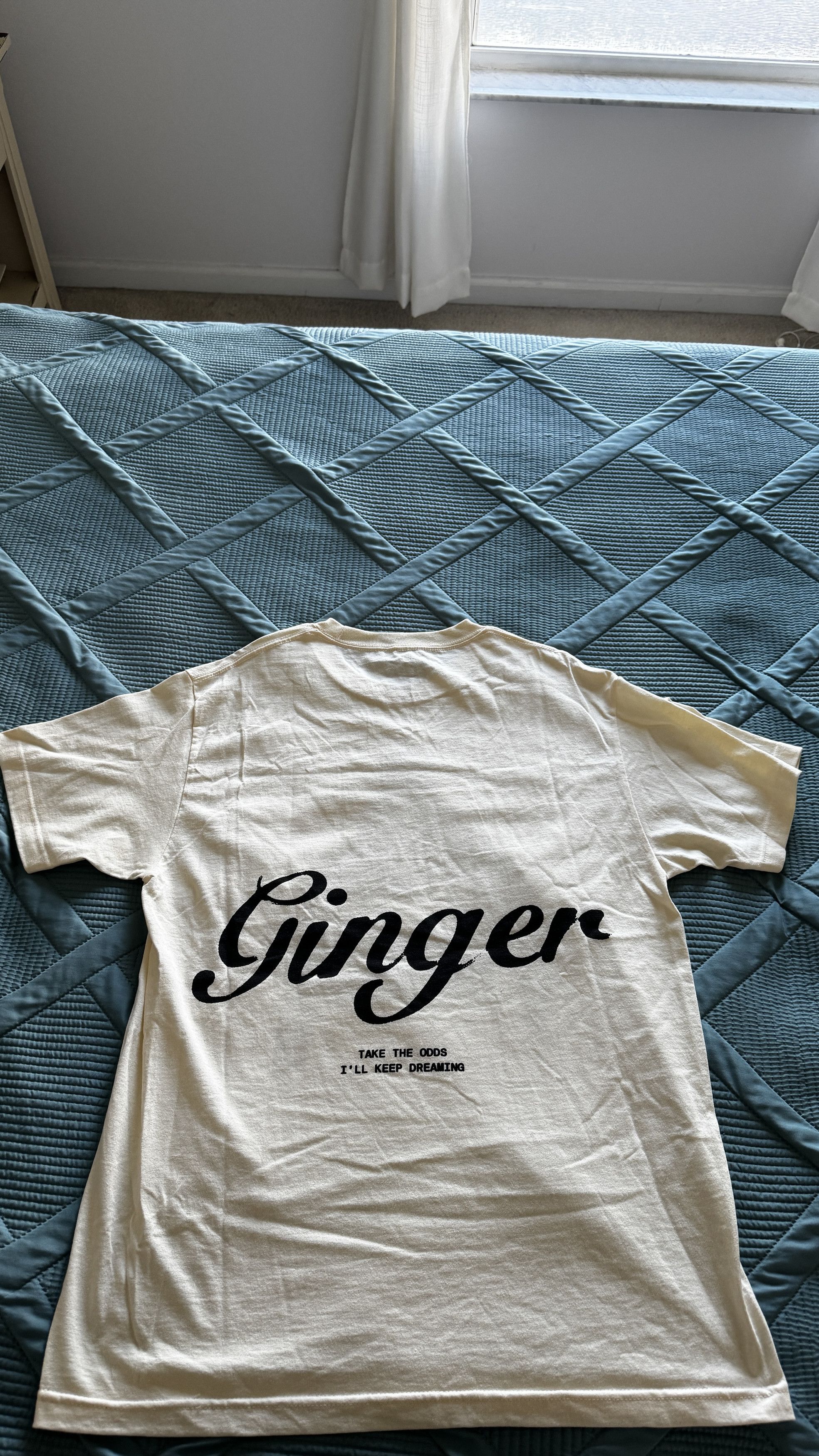 Brockhampton Brockhampton Ginger 'Odds' Tee Size US L / EU 52-54 / 3 - 3 Thumbnail