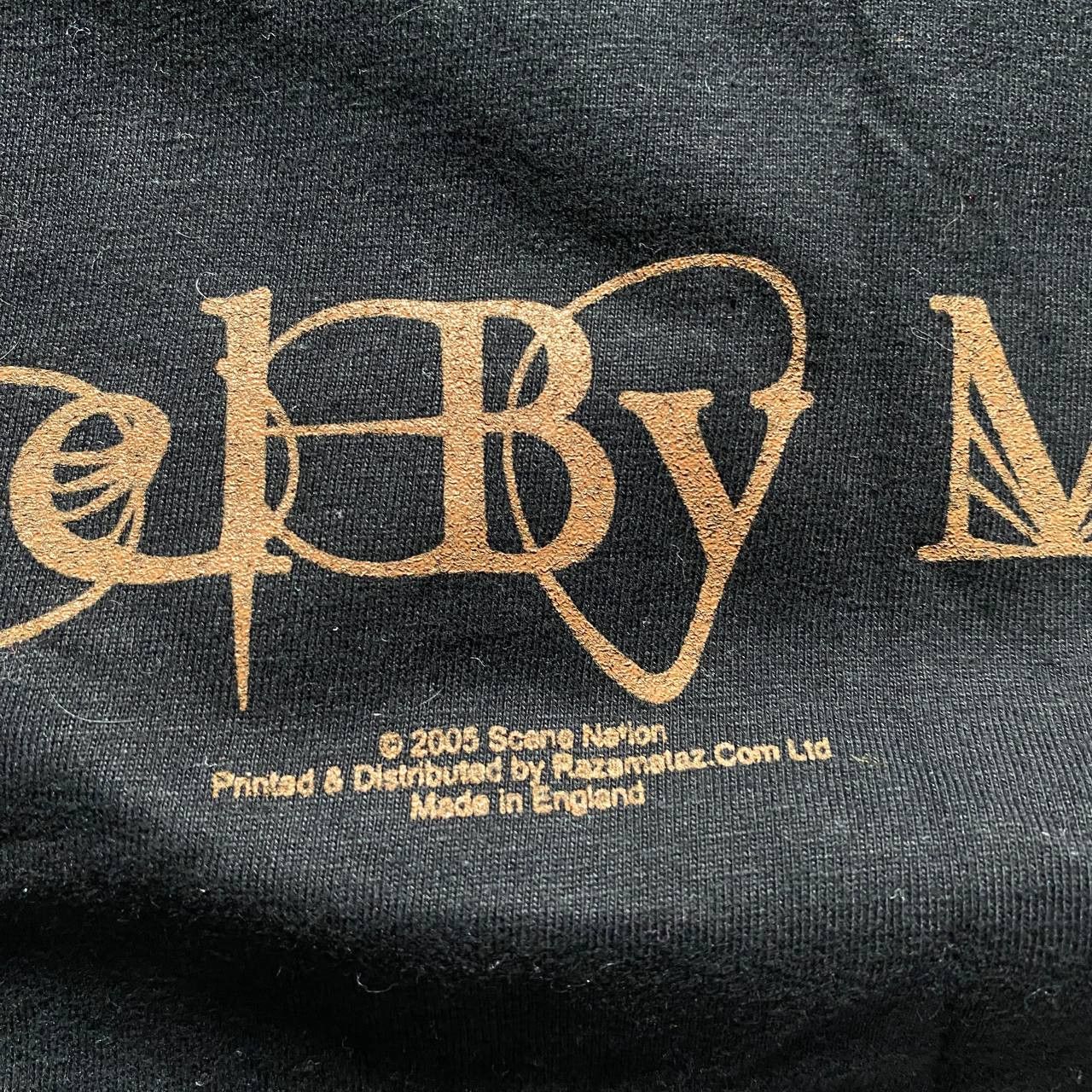 Band Tees VINTAGE Y2K NIGHTWISH AMAZING GOTHIC RARE LONG SLEEVE 100 Size US XL / EU 56 / 4 - 4 Thumbnail