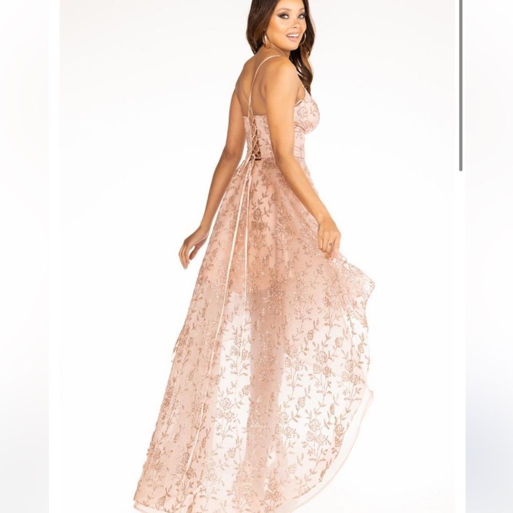 NBDN Nobrandedon Abby Paris by Lucci Lu sz 6 hi-LO dress Size M / US 6-8 / IT 42-44 - 2 Thumbnail