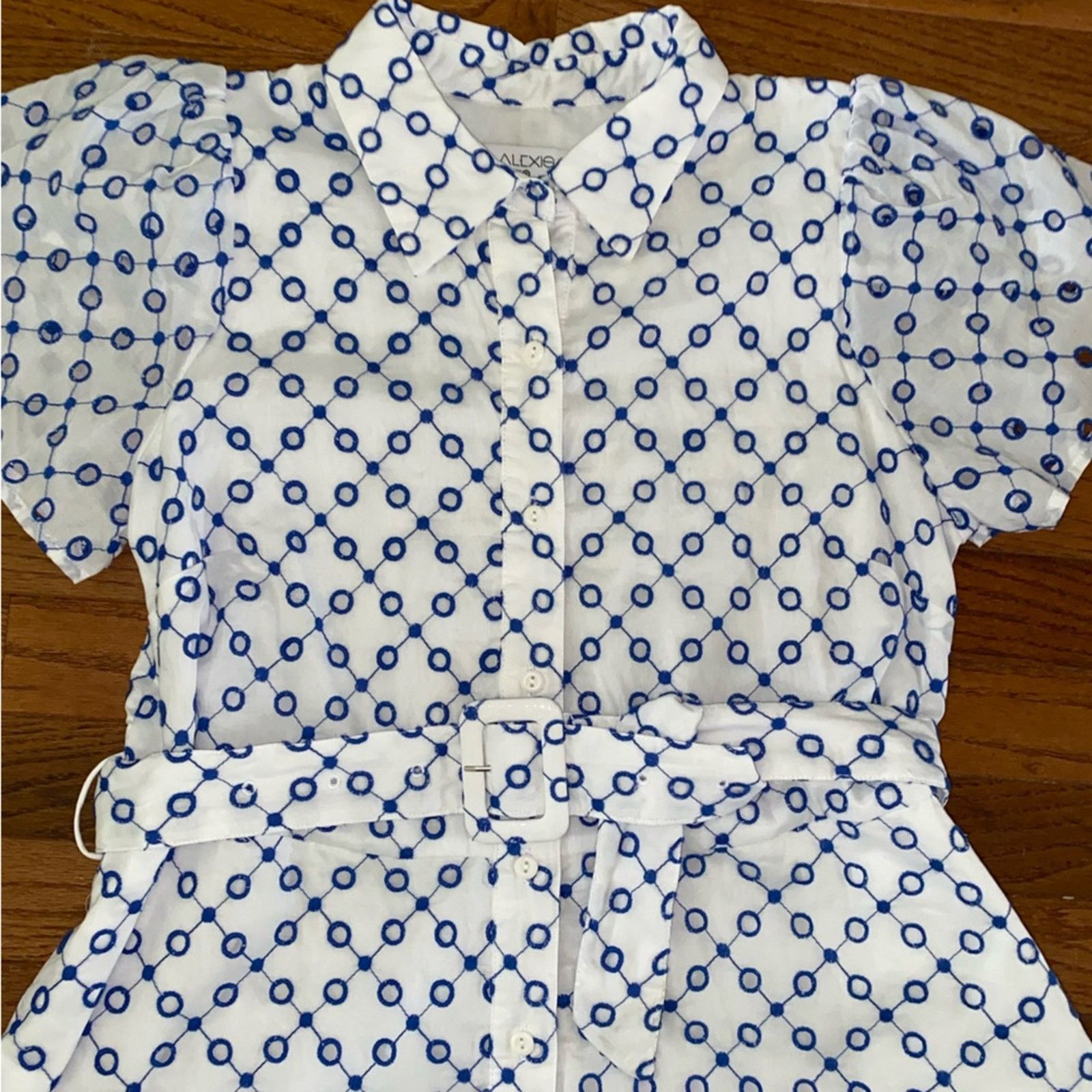 ALEXIS Alexis x Target Blue & White Tulip Eyelet‎ Dress Small EUC Size S / US 4 / IT 40 - 10 Thumbnail