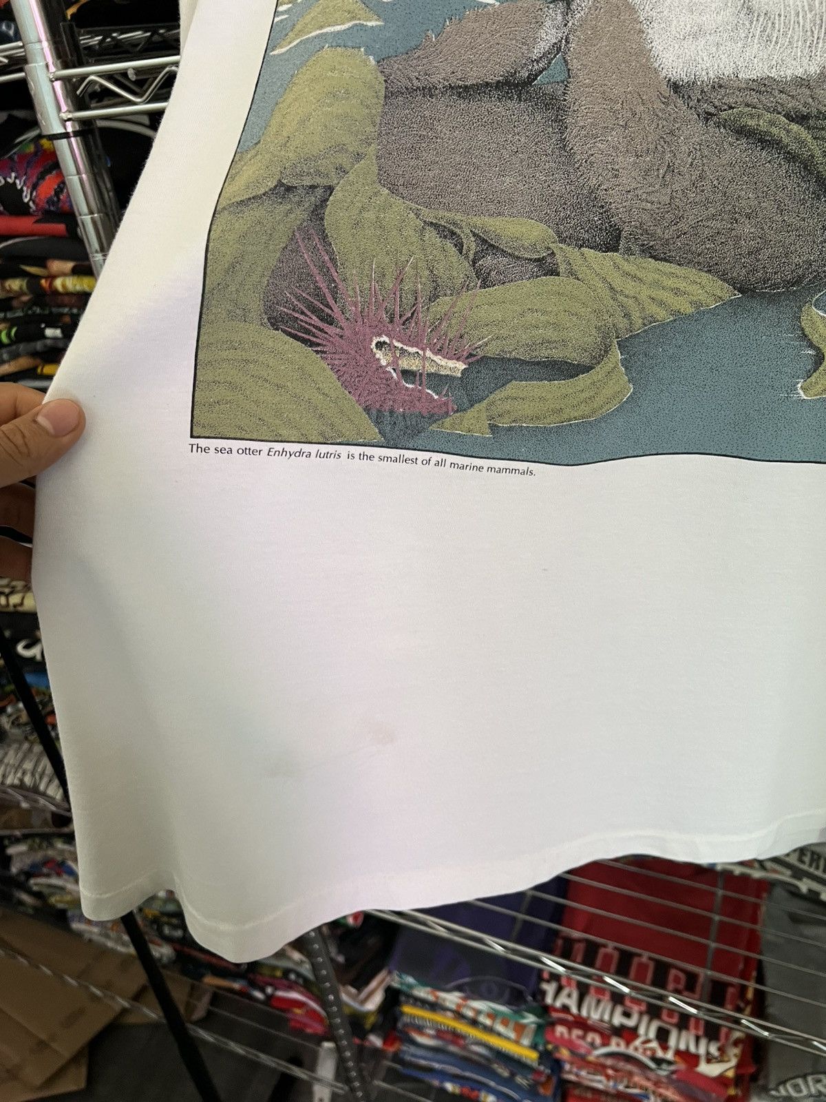 Habitat 1991 Otter Enhydra Lutris Diana Dee Tyler Monterey Bay Size US XL / EU 56 / 4 - 3 Thumbnail