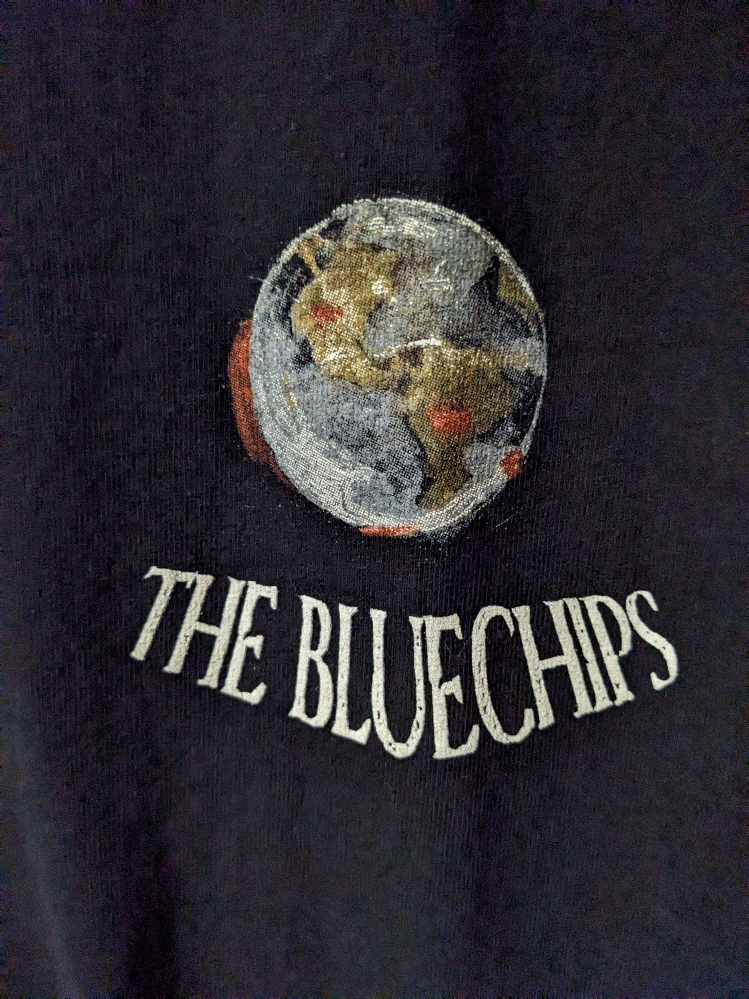 Band Tees × Gildan The Bluechips New York Band Music Tour Black X-Large T-Shirt Size US XL / EU 56 / 4 - 4 Thumbnail