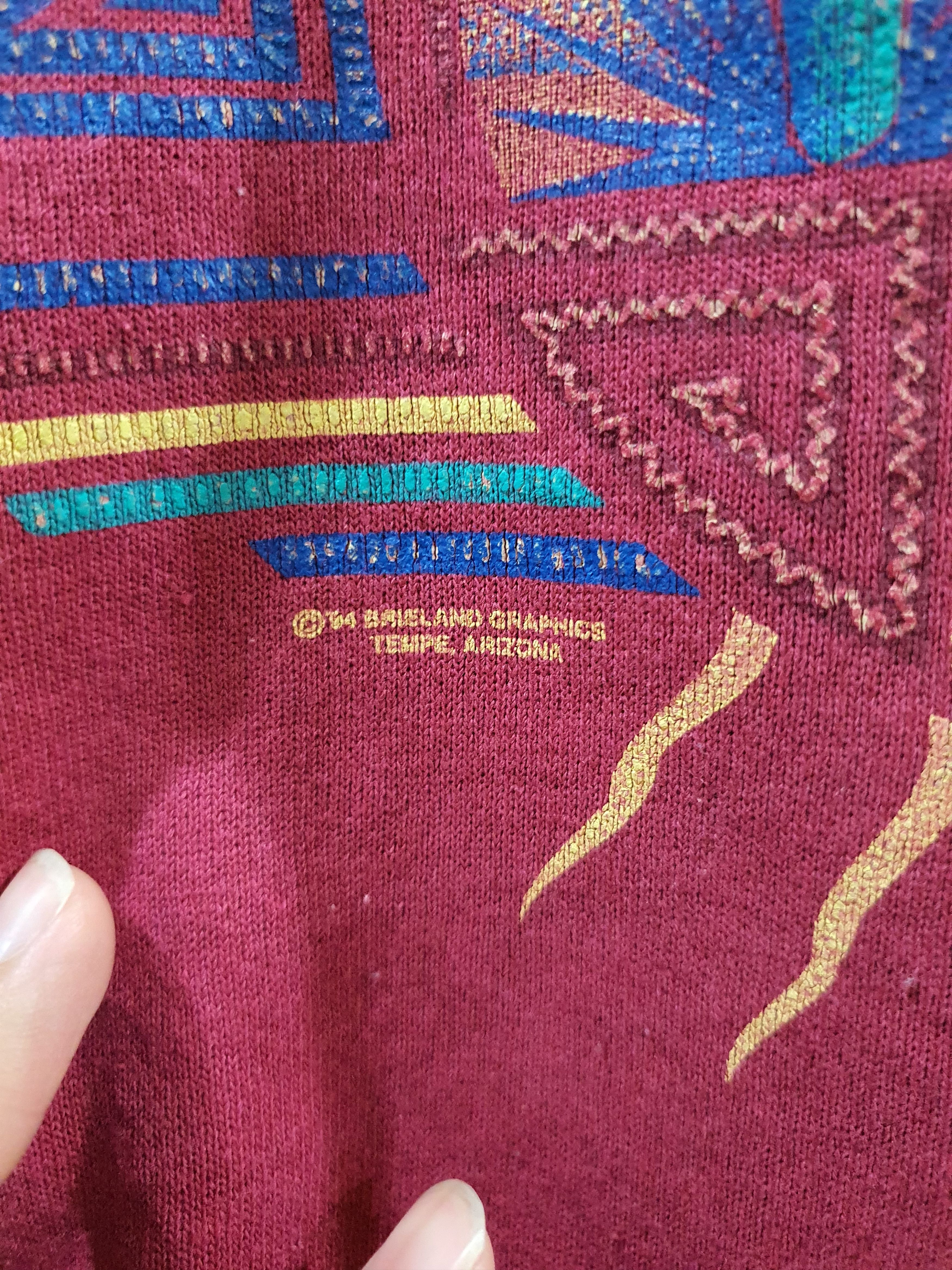 Hanes vintage 90s "Arizona" or "Southwestern Cactus" crewneck Size US L / EU 52-54 / 3 - 5 Thumbnail