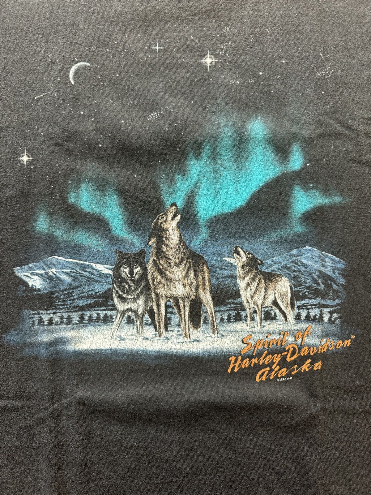 Harley Davidson Vintage 1997 Taku Harley Davidson Spirit of Alaska Size US L / EU 52-54 / 3 - 2 Thumbnail