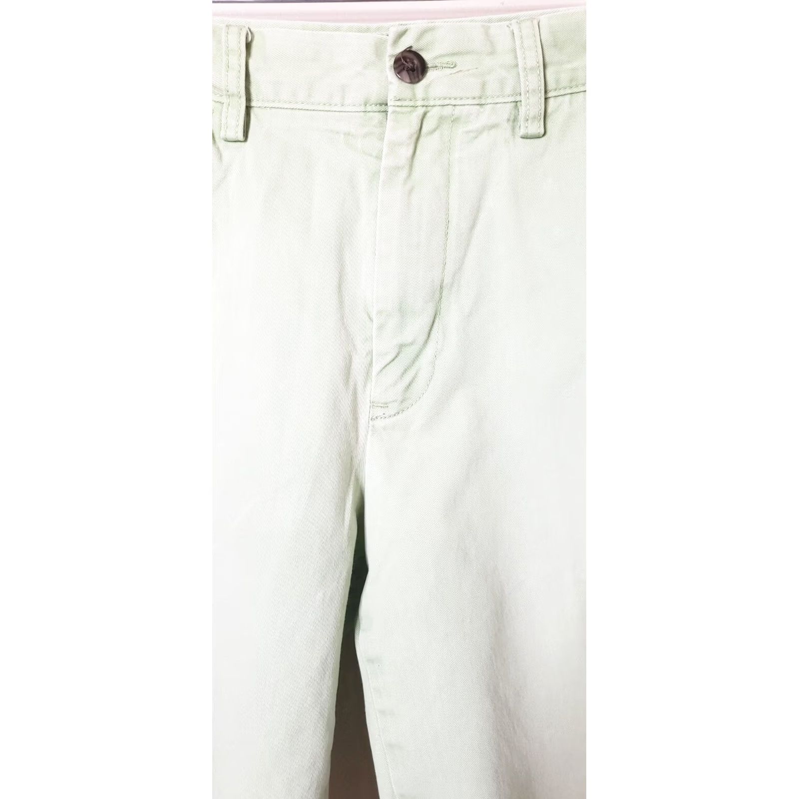 Nautica Nautica Classic Fit Men's Shorts 33" Waist 9" Inseam Mint Green 100% Cotton EUC Shorts Mens Regular Waist 33 Green Mint NAUTICA Size US 33 - 4 Thumbnail
