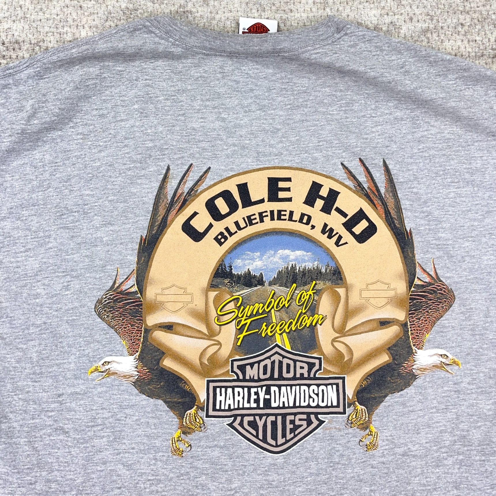 Harley Davidson Harley-Davidson Shirt Men XL Gray Biker Tee Eagle Nature Fire Flames Y2K Adult Size XL Gray Harley-Davidson Shirt Mens XL Gray 80s Retro Vintage? Size US XL / EU 56 / 4 - 4 Thumbnail
