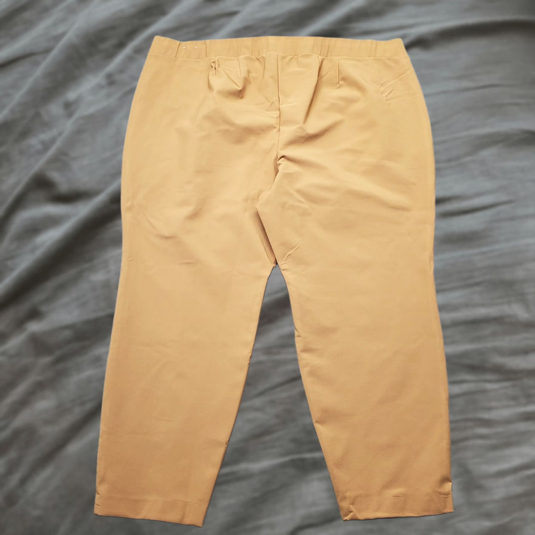 Vintage Lane Bryant Ankle Pants Womens 26 Tan Stretch Straight Leg Zipped Pocket Pull On Size 26" / US 2 / IT 38 - 1 Thumbnail