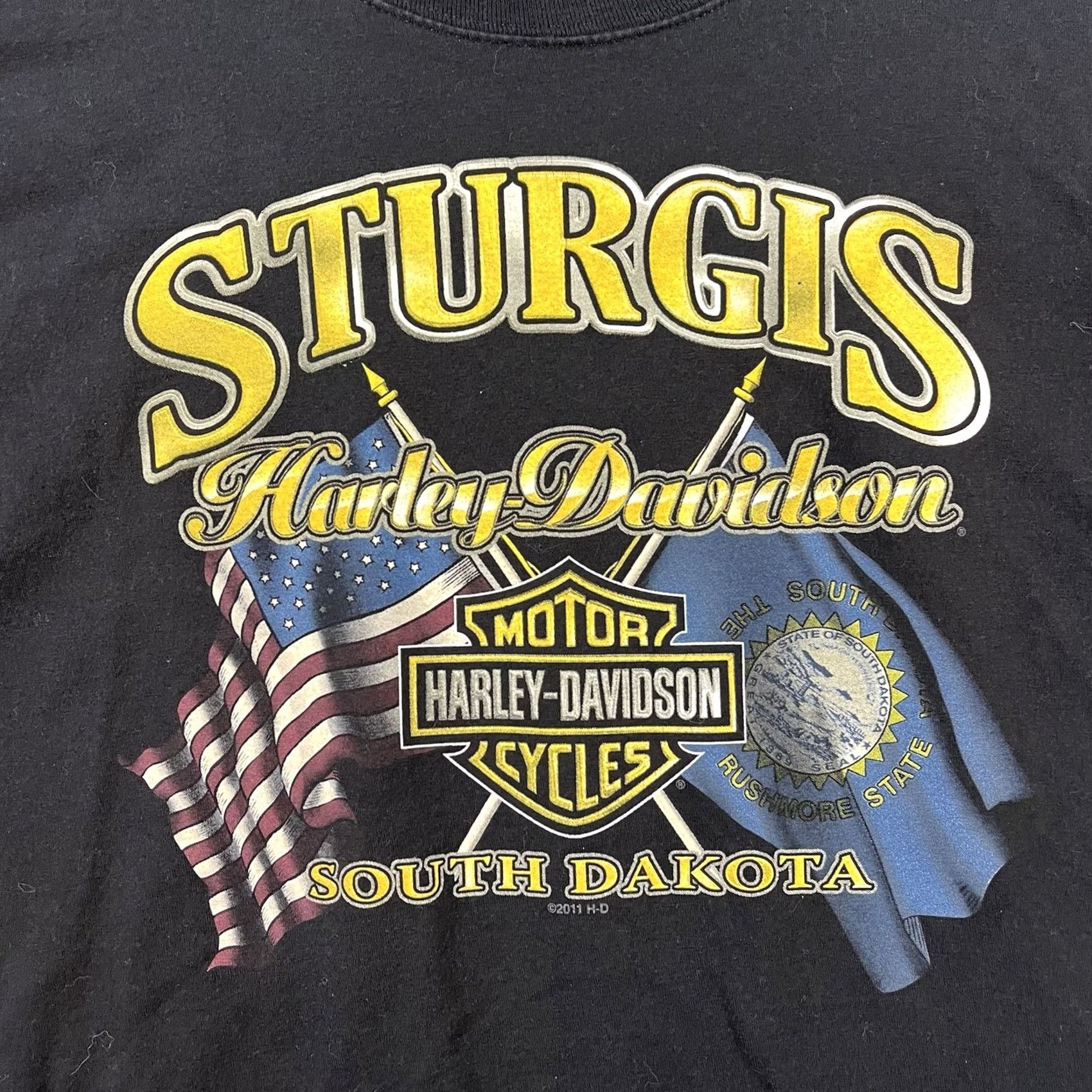 Harley Davidson VINTAGE Harley-Davidson T-Shirt Large Black 2000s Sturgis Motorcycle Graphic Print Hemes Beefy-T Men Short Sleeve Crew Neck Size US L / EU 52-54 / 3 - 2 Thumbnail