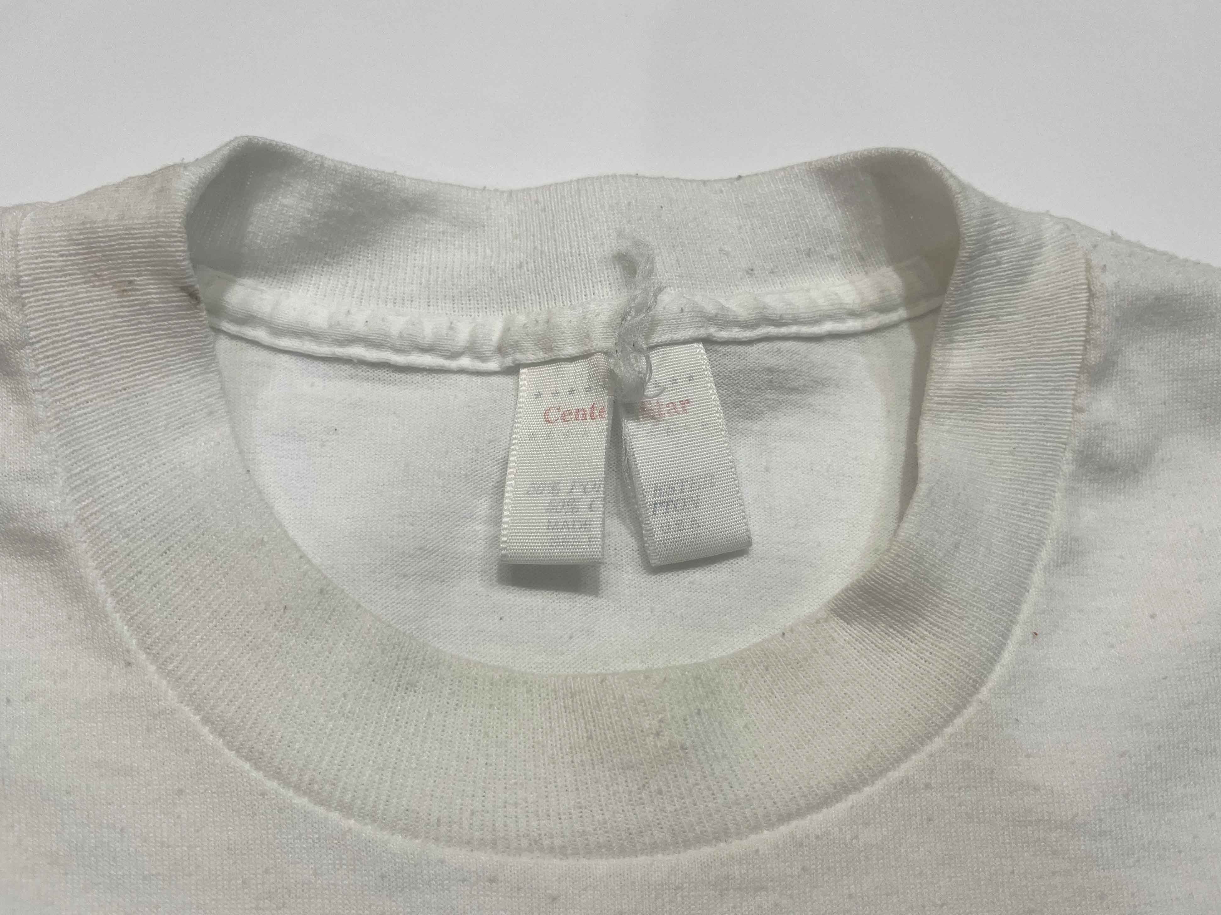 Vintage Vintage 1992 I Survived Chicago Loop Flood T-Shirt Size US L / EU 52-54 / 3 - 3 Thumbnail