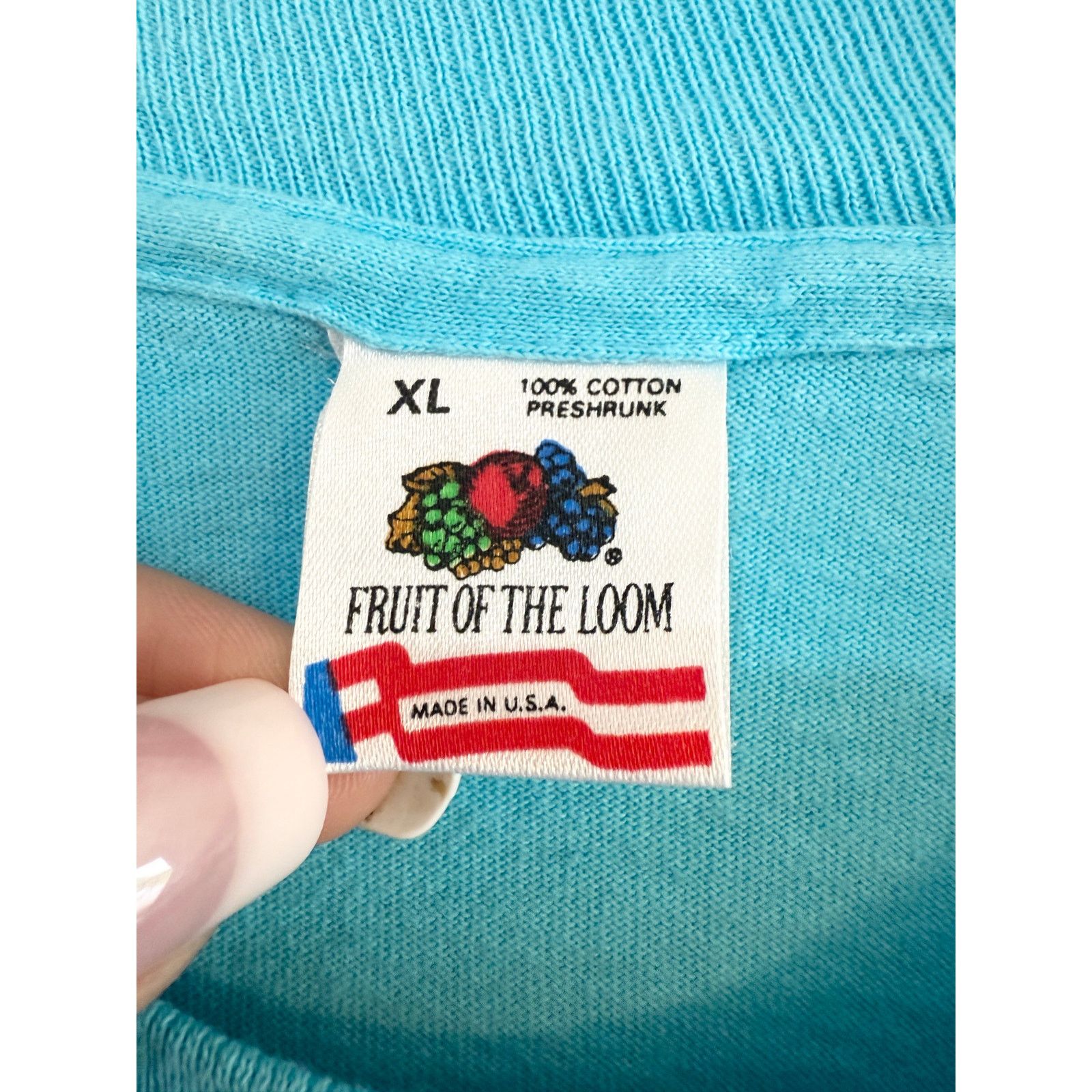 Fruit Of The Loom 80s Alaska Iris Single Stitch Tee XL Size US XL / EU 56 / 4 - 4 Thumbnail