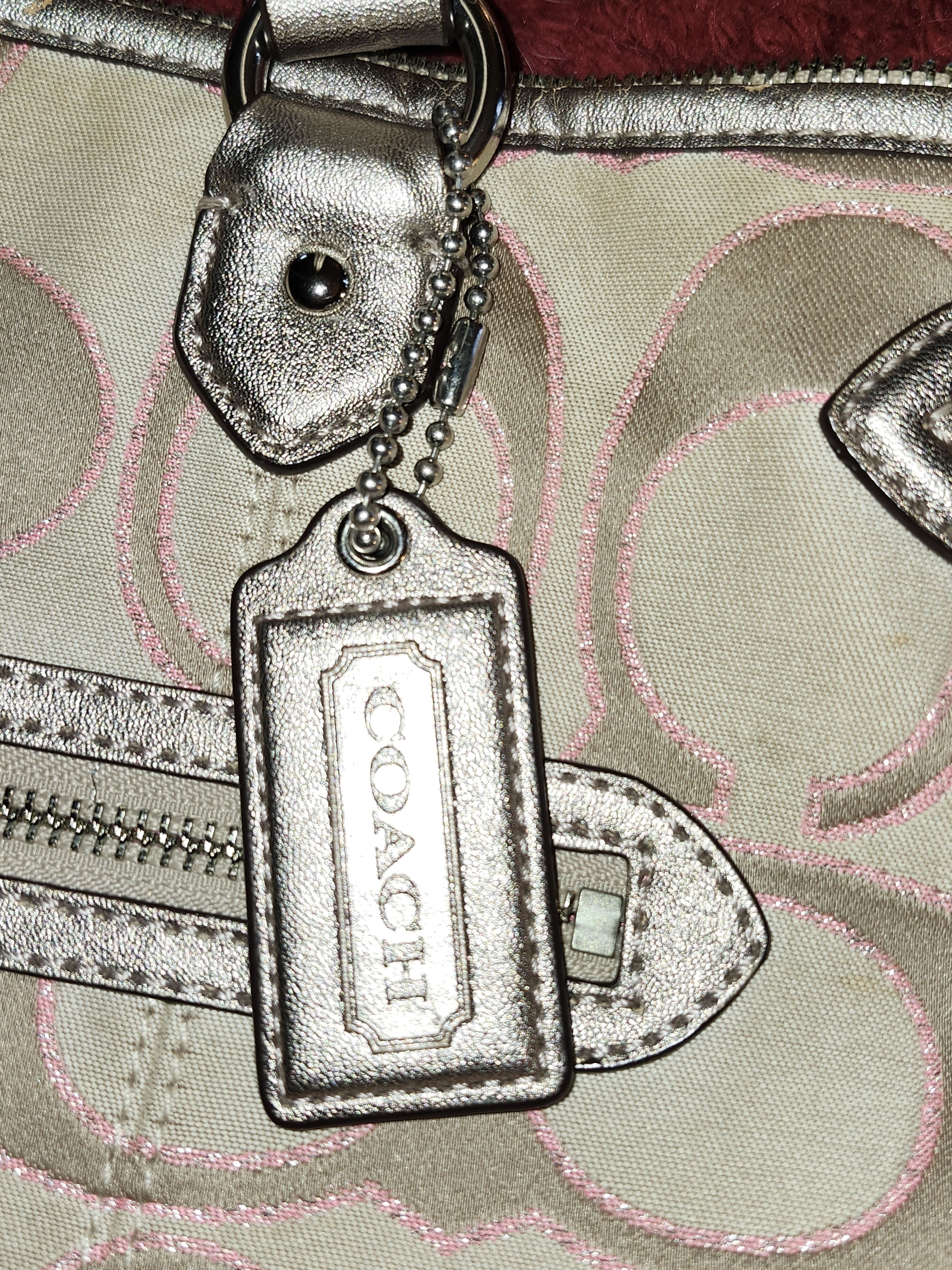 Coach Coach Daisy Outline Signature Metallic EMMA Tote Size ONE SIZE - 7 Thumbnail