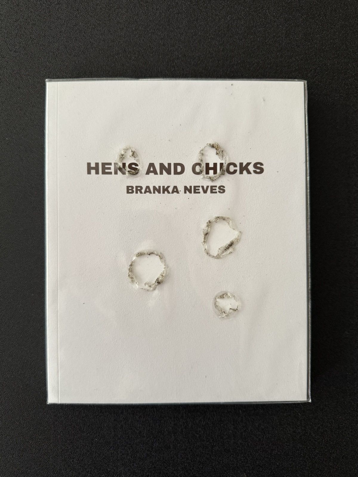 Hens and Chicks 2nd Book by Branka Neves
