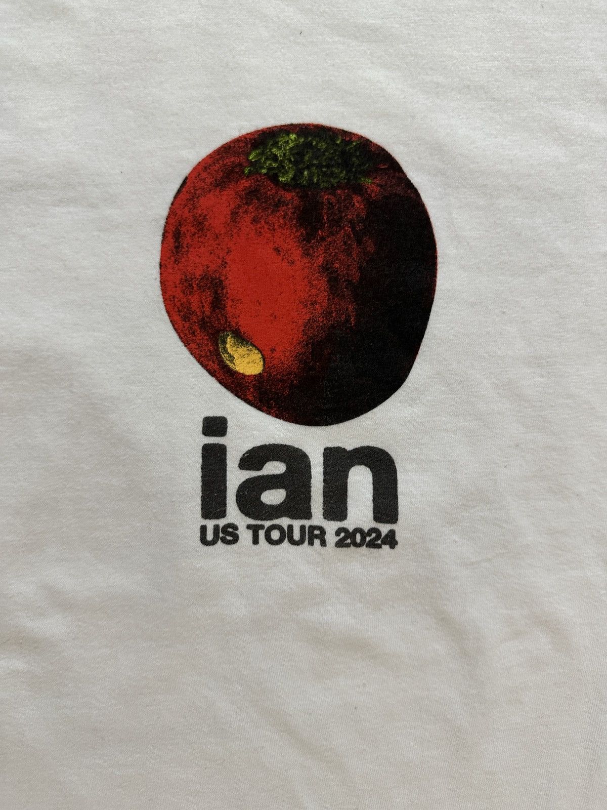 Other “ian” Tour White T-Shirt Size US M / EU 48-50 / 2 - 2 Thumbnail