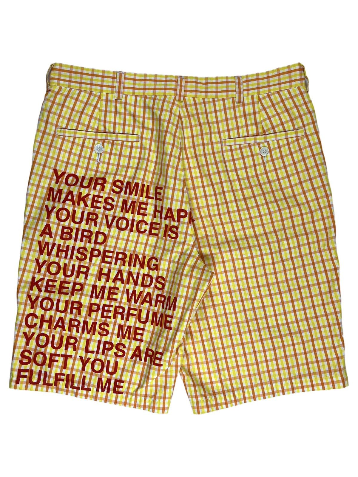 Junya Watanabe SS02 Sample Junya Watanabe Plaid Poem Print Shorts Size US 32 / EU 48 - 1 Thumbnail