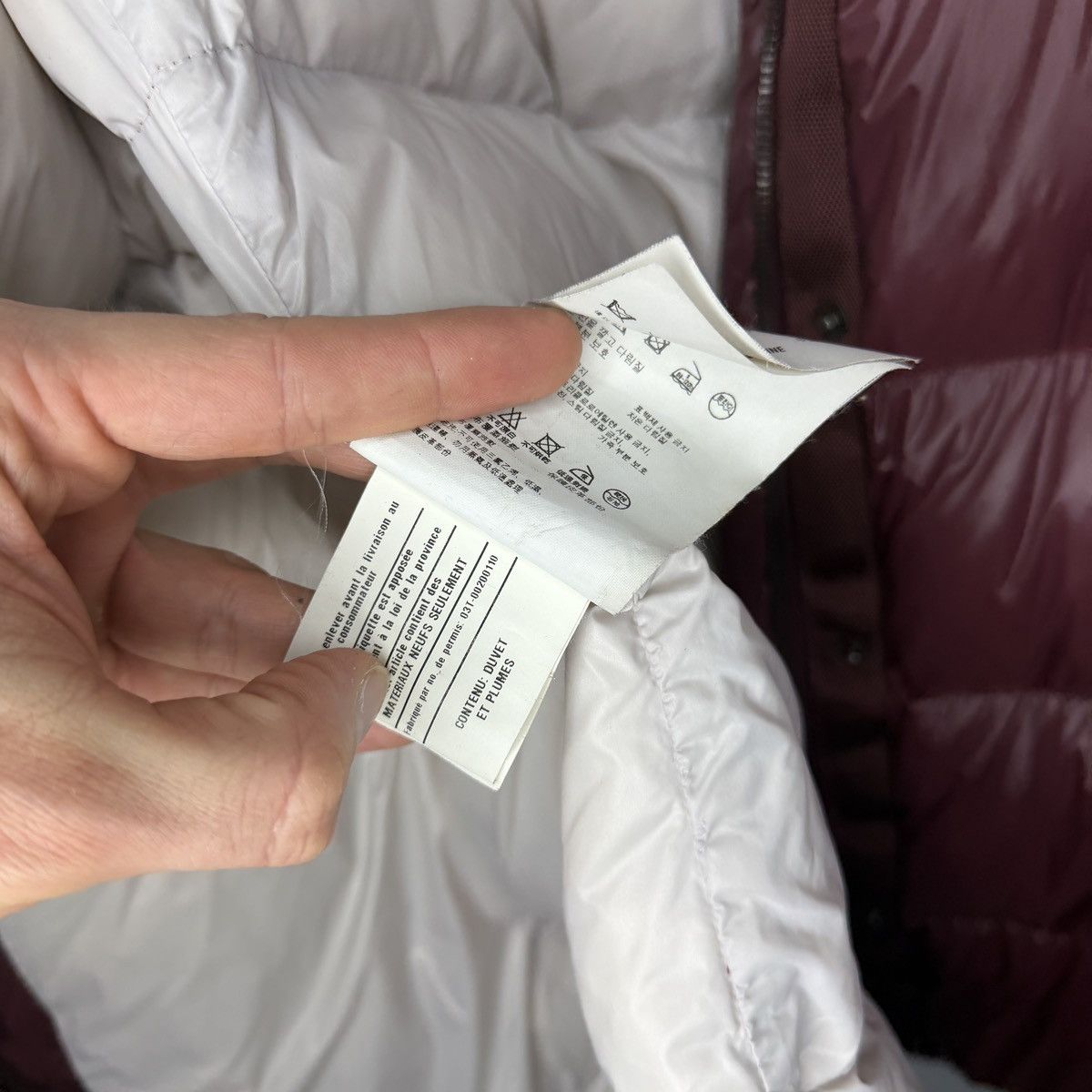Prada Prada Milano Puffer Down Jacket Re-Nylon Archive Burgundy Size US M / EU 48-50 / 2 - 18 Thumbnail