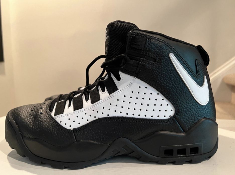 dennis rodman air darwin