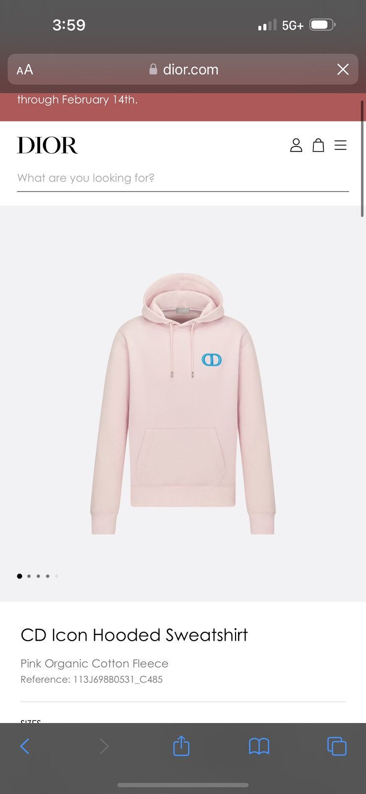 Dior CD Icon Hooded Sweatshirt Size US L / EU 52-54 / 3 - 14 Thumbnail