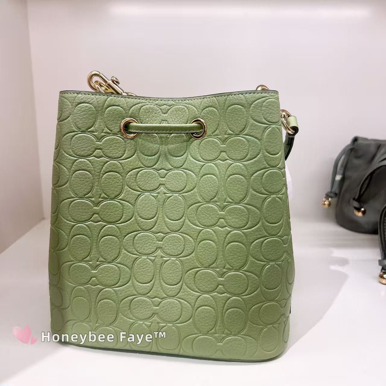 Coach Rowan Bucket Bag In Signature Leather CEA96 Gold/Pistachio Size ONE SIZE - 2 Thumbnail