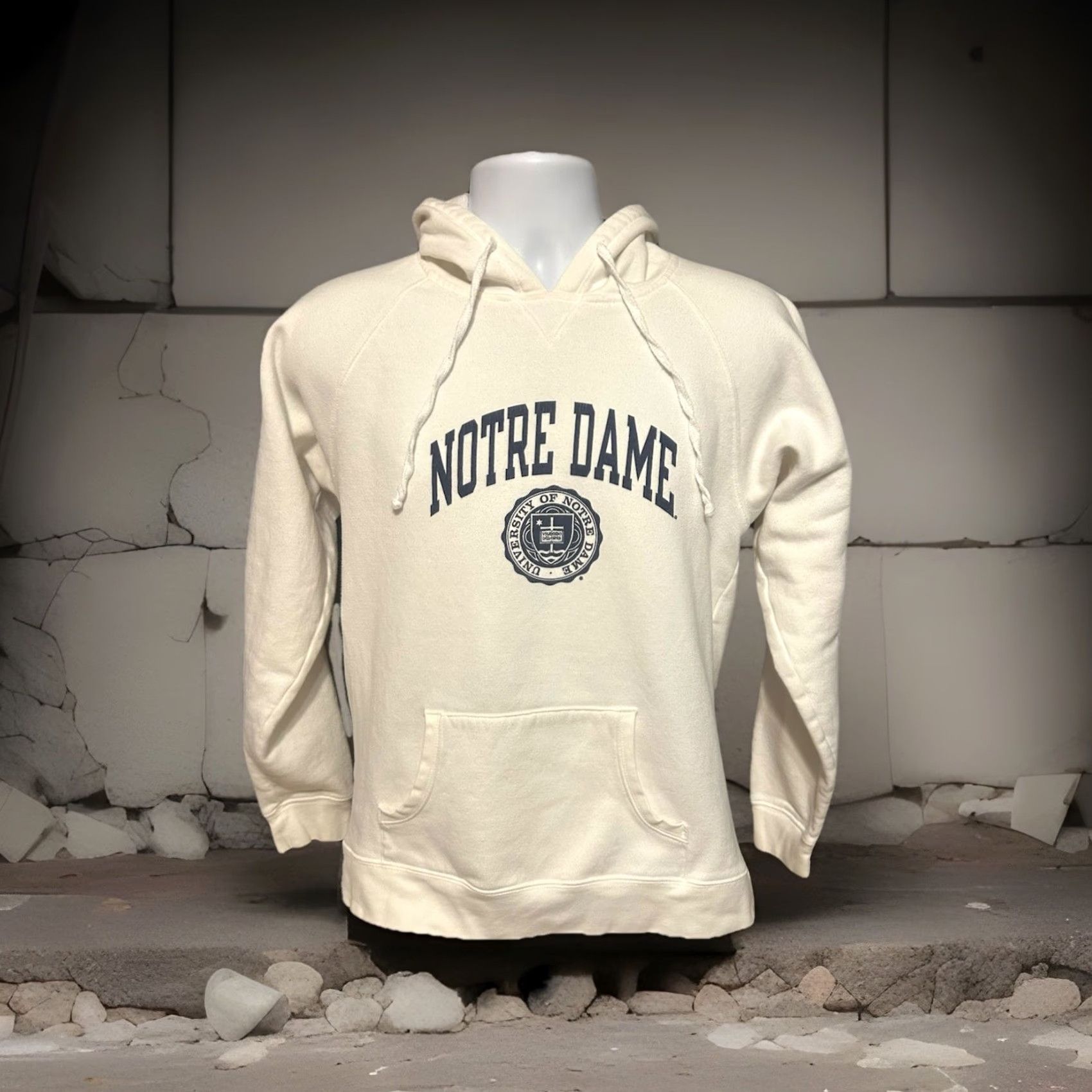 Champion Y2K University Notre Dame Hoodie Champion White Spell Out Adult Large Notre Dame Fighting Irish Size US L / EU 52-54 / 3 - 3 Thumbnail