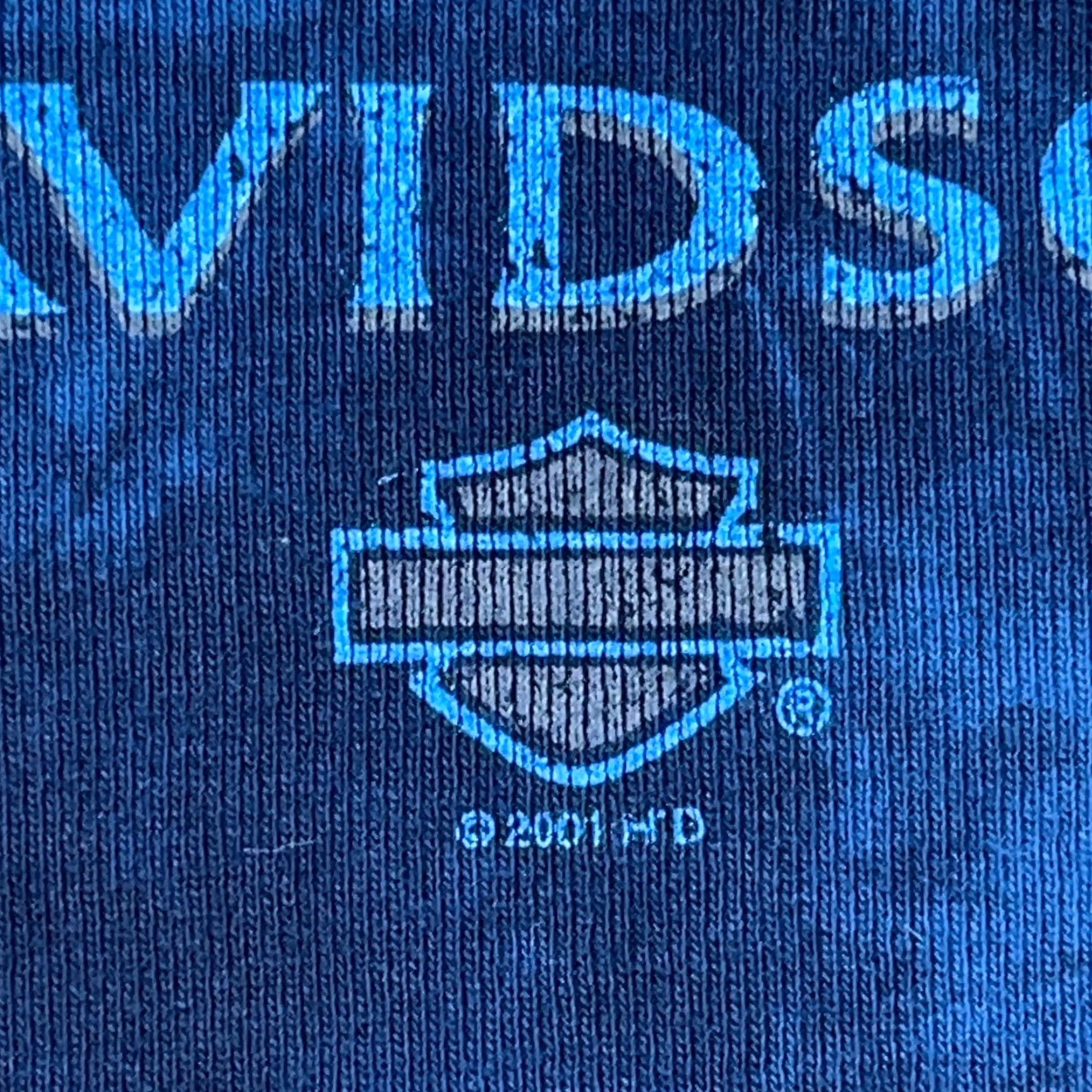 Harley Davidson VINTAGE Harley-Davidson Shirt Women XL Blue Tee 90s 1Y2K Tie Dye V Neck Jaguar Size XL / US 12-14 / IT 48-50 - 4 Thumbnail