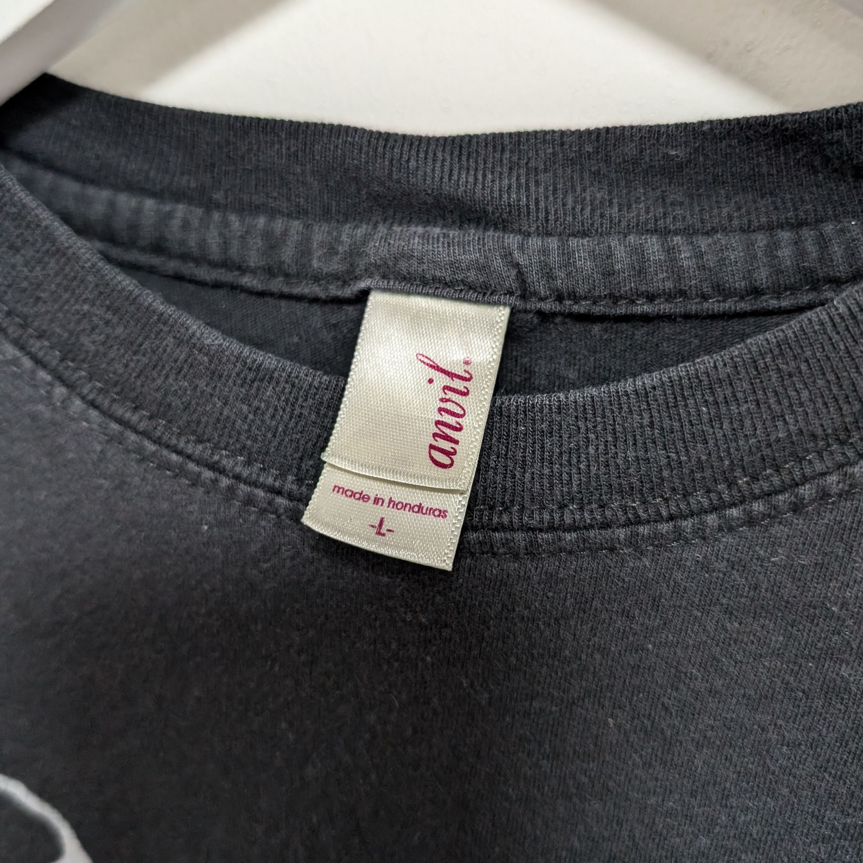 Anvil × Vintage The New Pornographers 2000's Tee Size L / US 10 / IT 46 - 3 Thumbnail