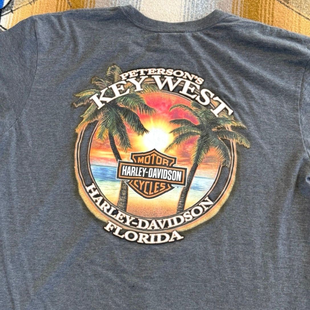 Harley Davidson Harley Davidson Shirt Mens XL Gray Short Sleeve Biker Motorcycle T-Shirt Double Sided Vintage: No Size US XL / EU 56 / 4 - 5 Thumbnail