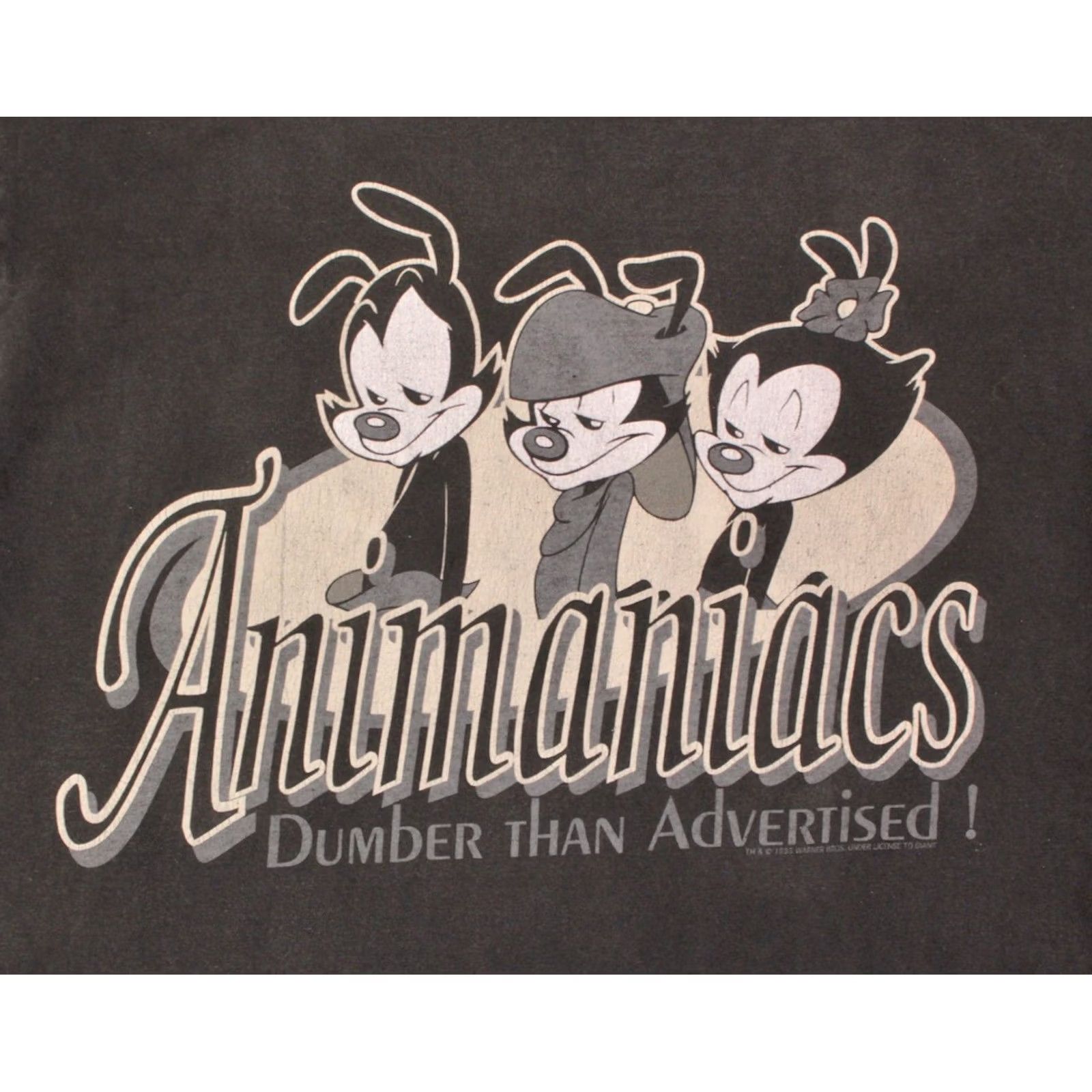 Vintage VTG Animaniacs 90s T Shirt L Grey Short Sleeve Mens Vintage 1990s Shirt Cartoon Dumber Than Advertised Size US L / EU 52-54 / 3 - 5 Thumbnail