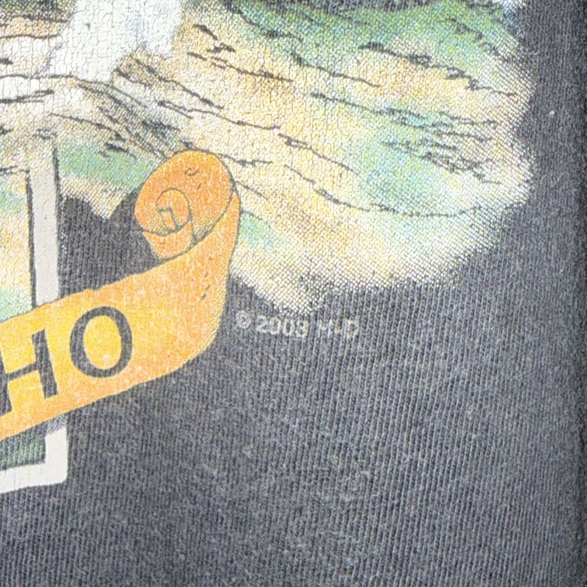 Harley Davidson VTG Y2K HARLEY DAVIDSON FADED TEE Size US L / EU 52-54 / 3 - 7 Thumbnail