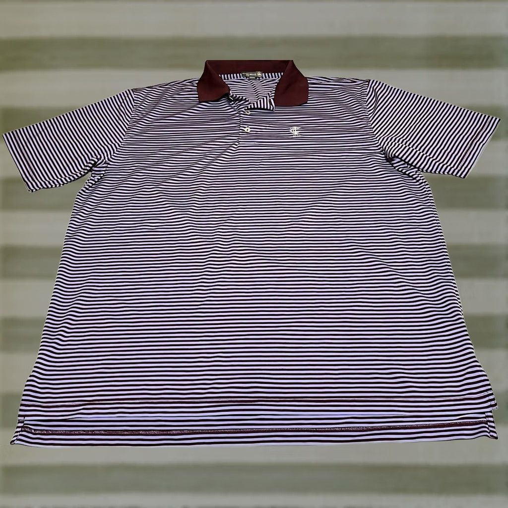 Peter Millar Peter Millar Summer Comfort Polo Timuquana Country Club TCC 1923 XL Purple Multicolor Striped Polo Shirt Men Size US XL / EU 56 / 4 - 1 Thumbnail
