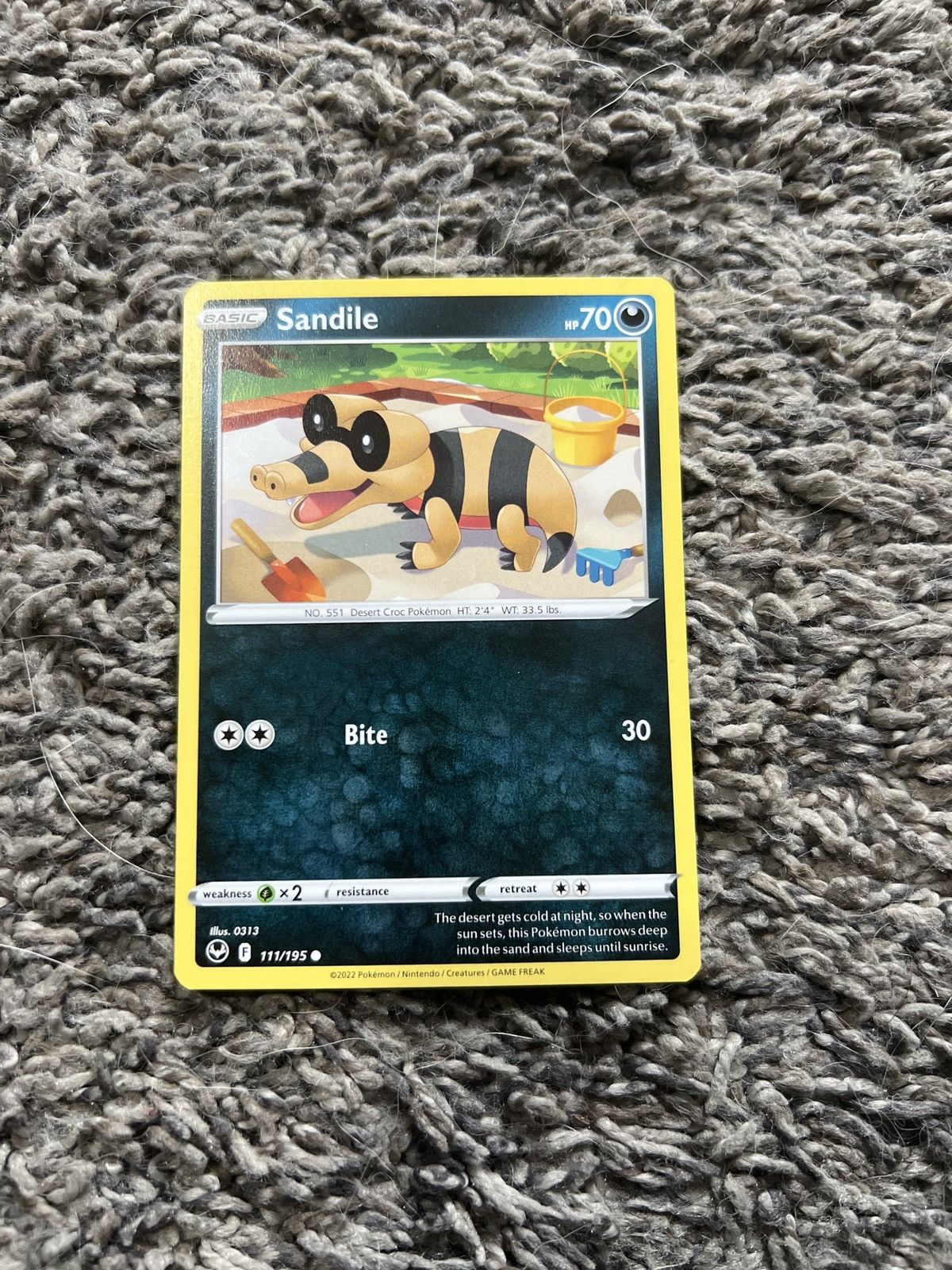 Pokemon 2022 Pokémon Sandile Basic Card Size ONE SIZE - 1 Thumbnail