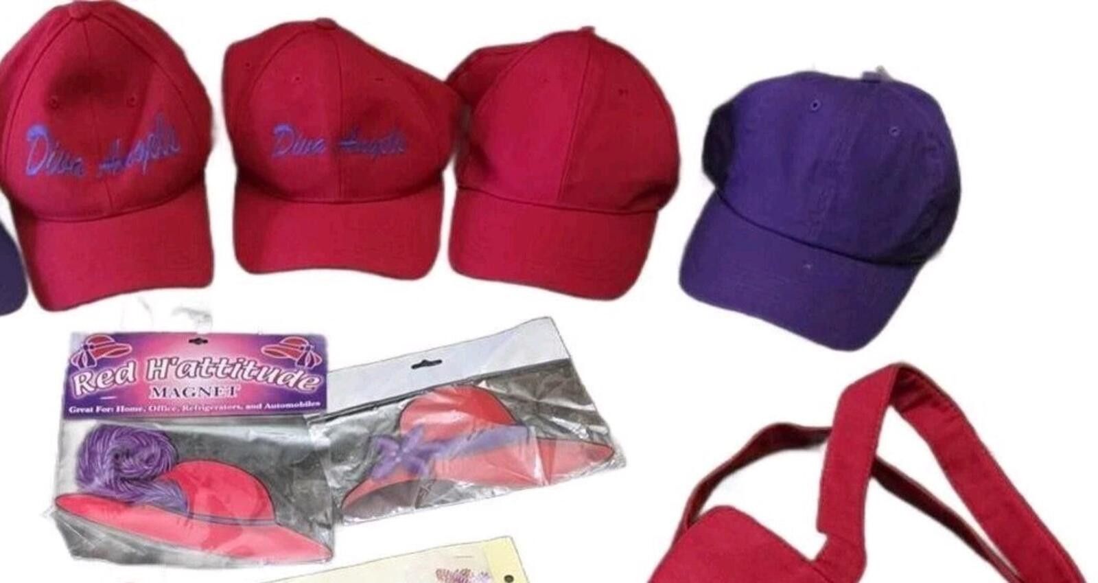 The Unbranded Brand Red Hat Lady Society Lot Hats Bag Magnets + Accessories Set Size ONE SIZE - 3 Thumbnail