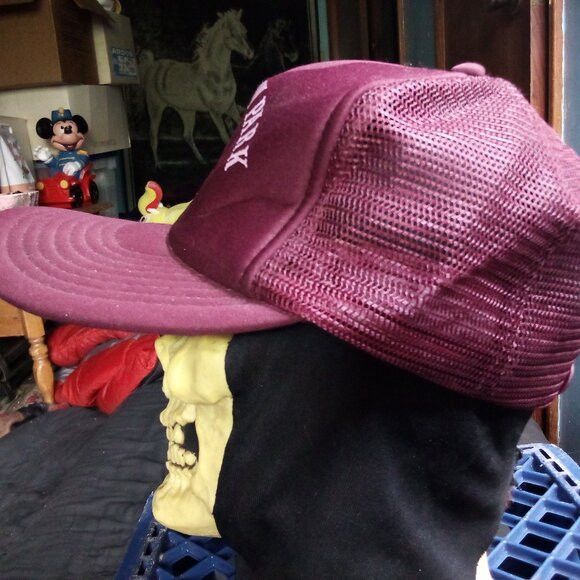 Other DS Vintage Cow Hollow Park Pheasant Snap Trucker Hat Cap Size ONE SIZE - 3 Thumbnail