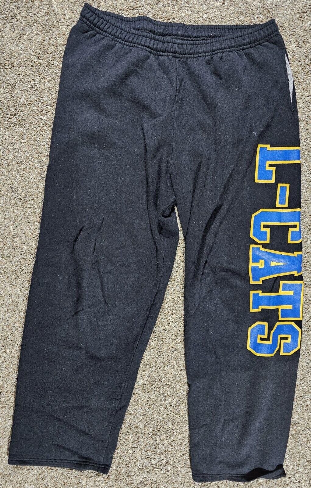 Fruit Of The Loom Lake Mills LCATS Wisconsin Fruit Of The Loom XL? Sweatpants Size US 36 / EU 52 - 1 Thumbnail