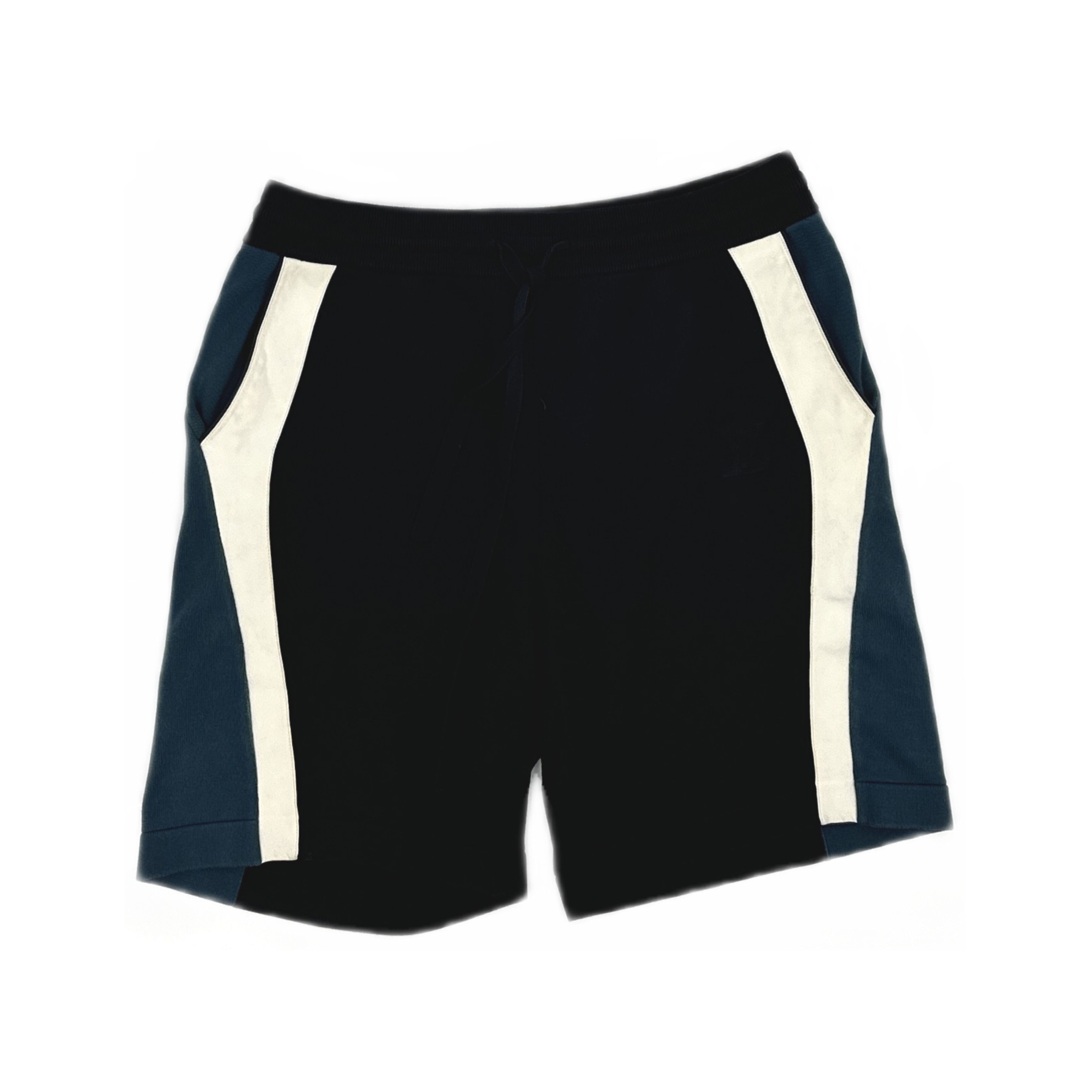 Louis Vuitton Louis Vuitton Paneled Drawstring Shorts Size L Size US 36 / EU 52 - 1 Thumbnail